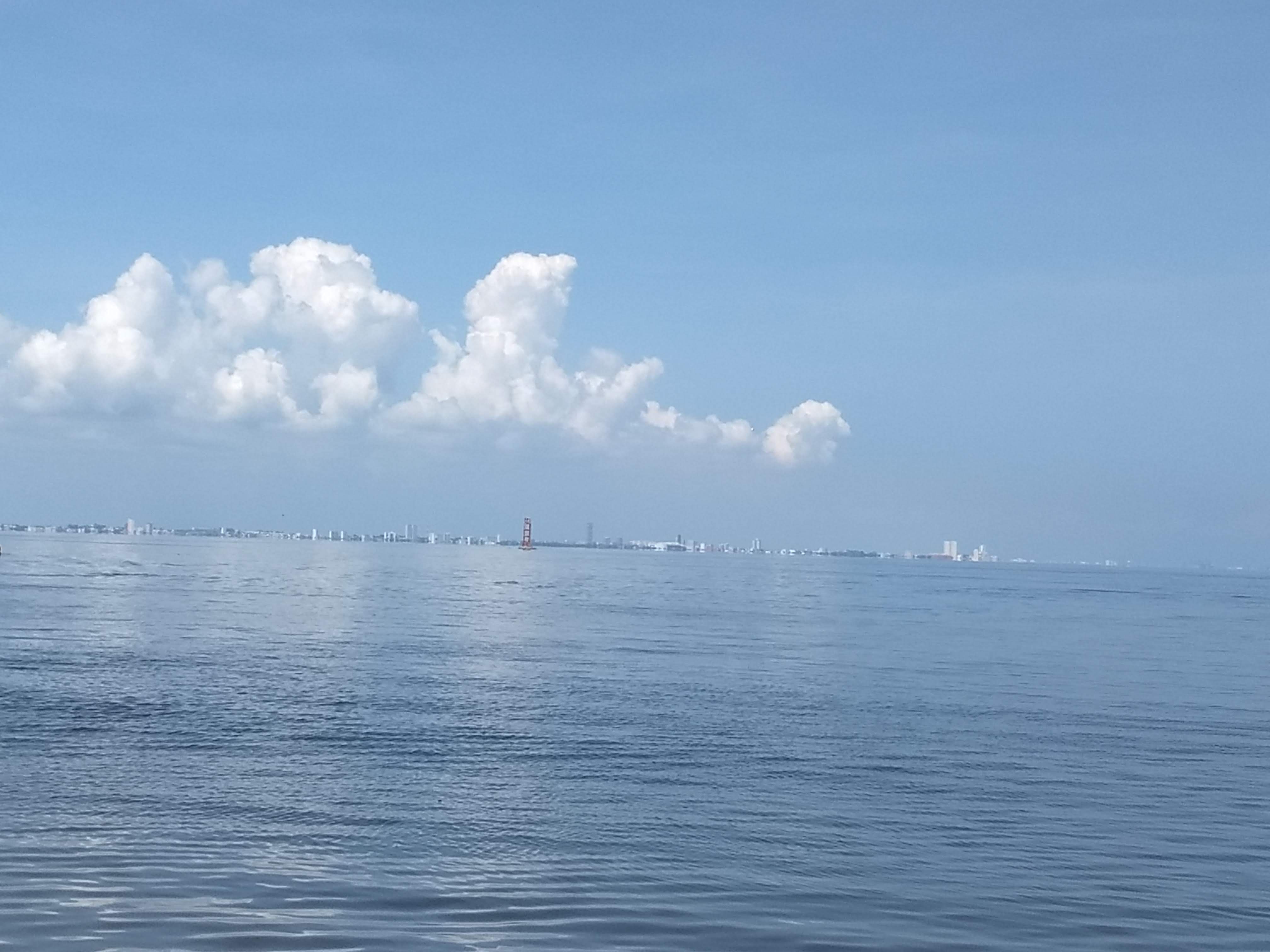 Restaurant "Brisa Marina" image 6