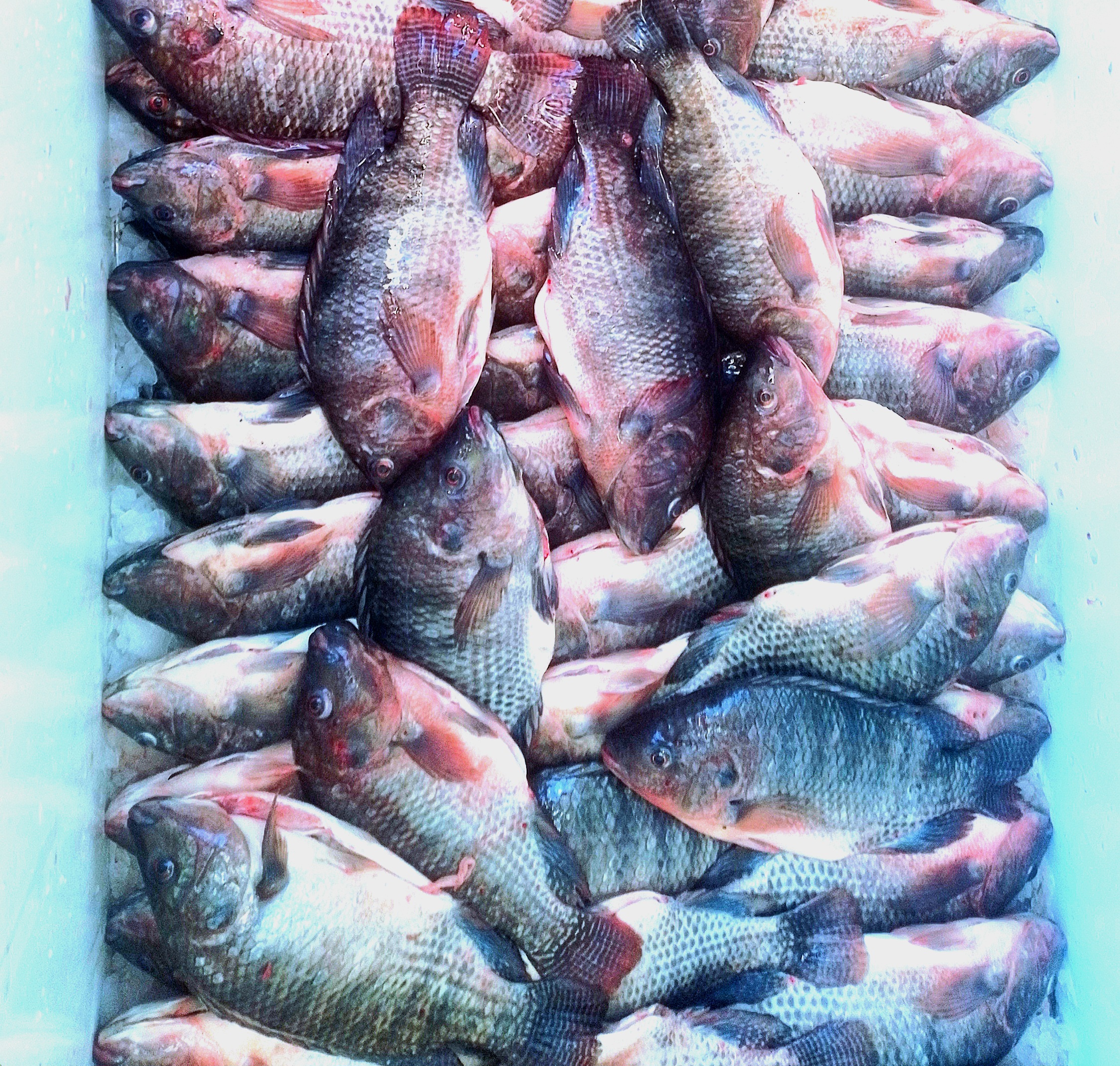 Ay Miguel !!!! image 4