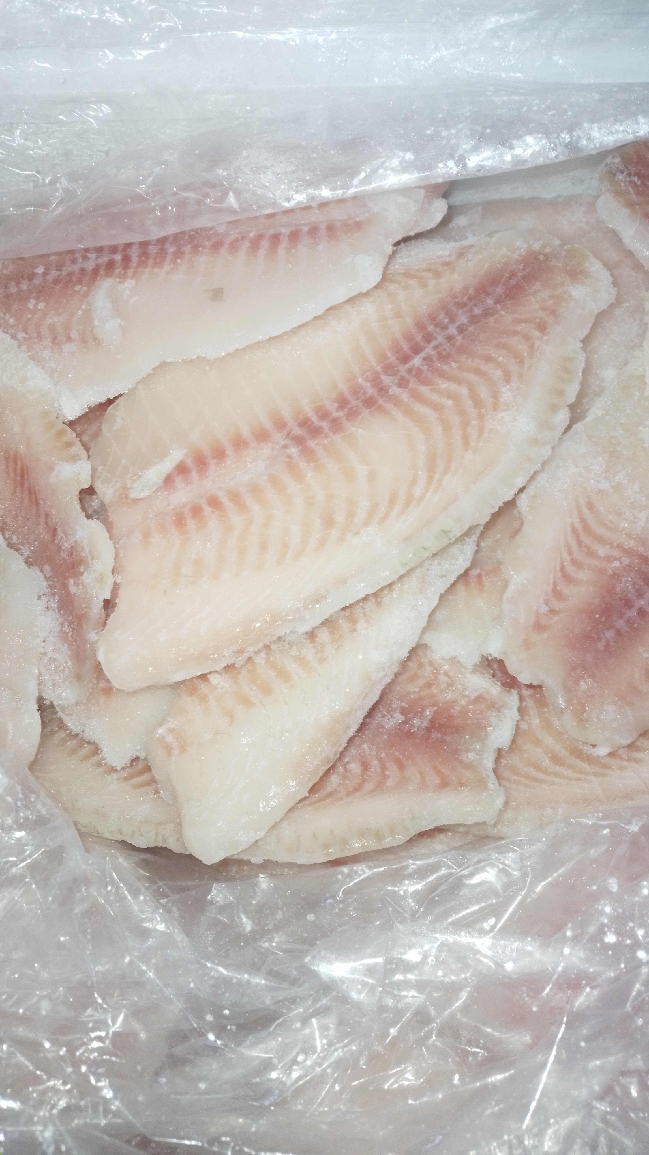 Ay Miguel !!!! image 5