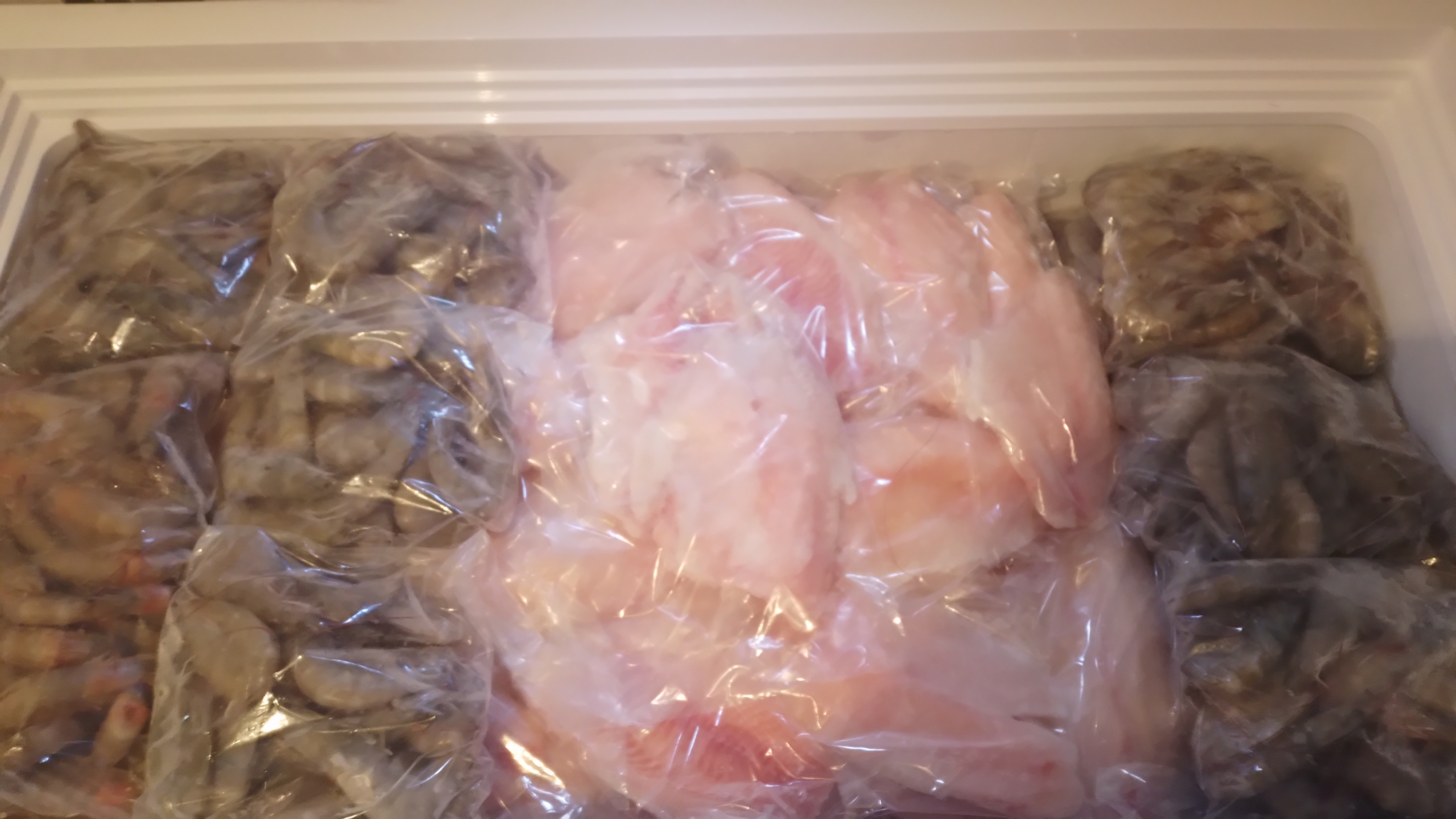 Ay Miguel !!!! image 7