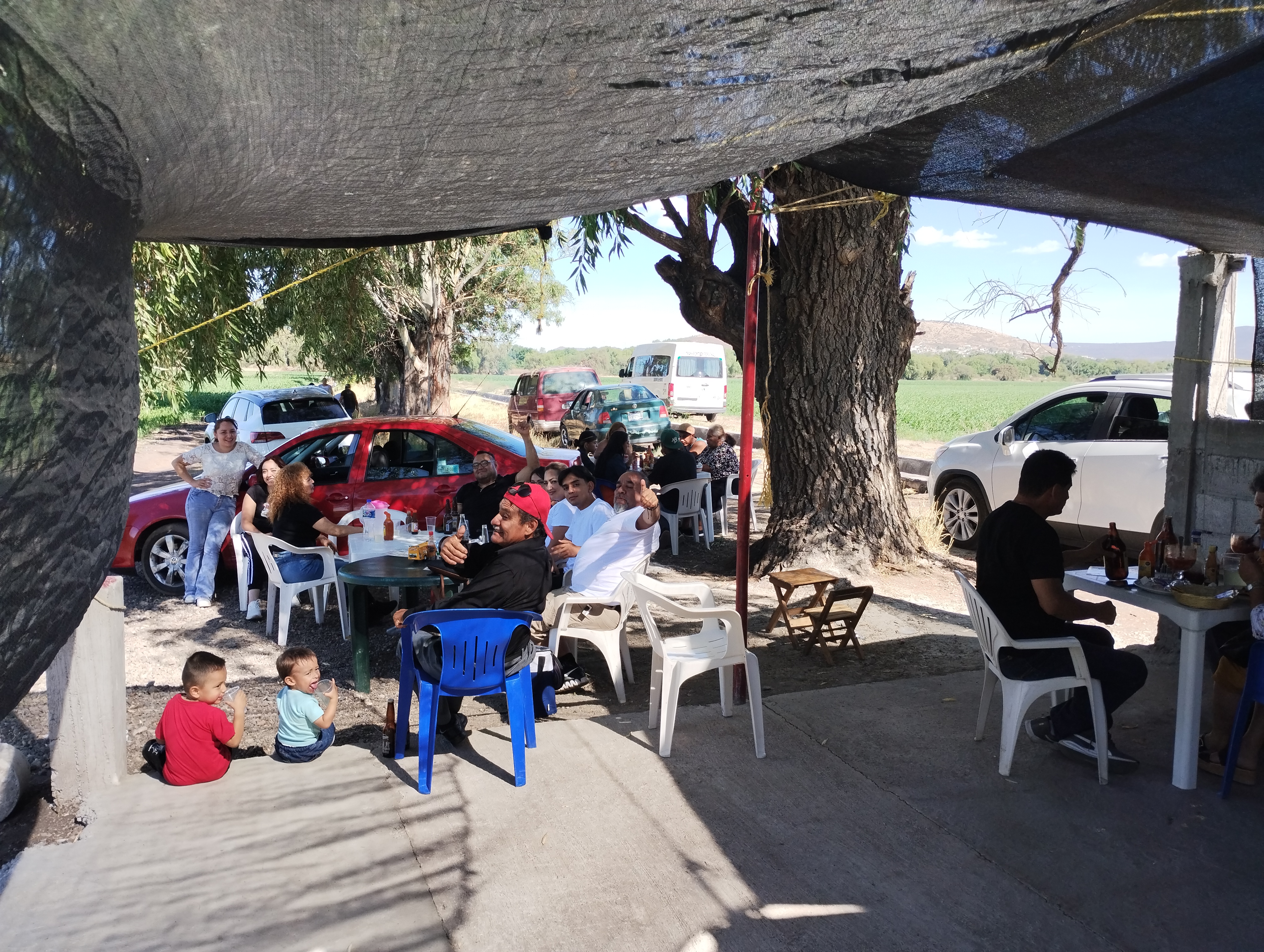 Mariscos el compadre image 2