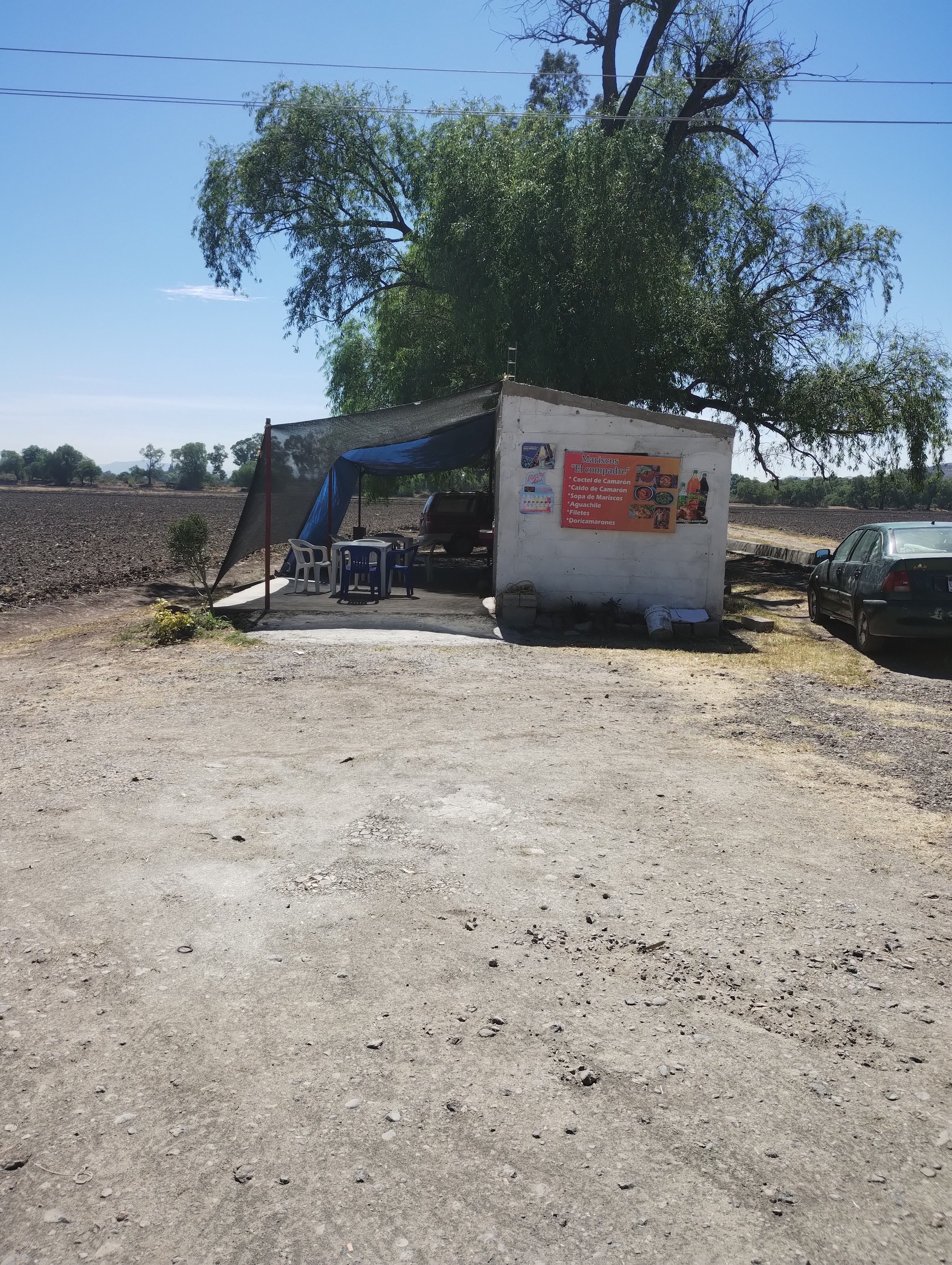 Mariscos el compadre image 3