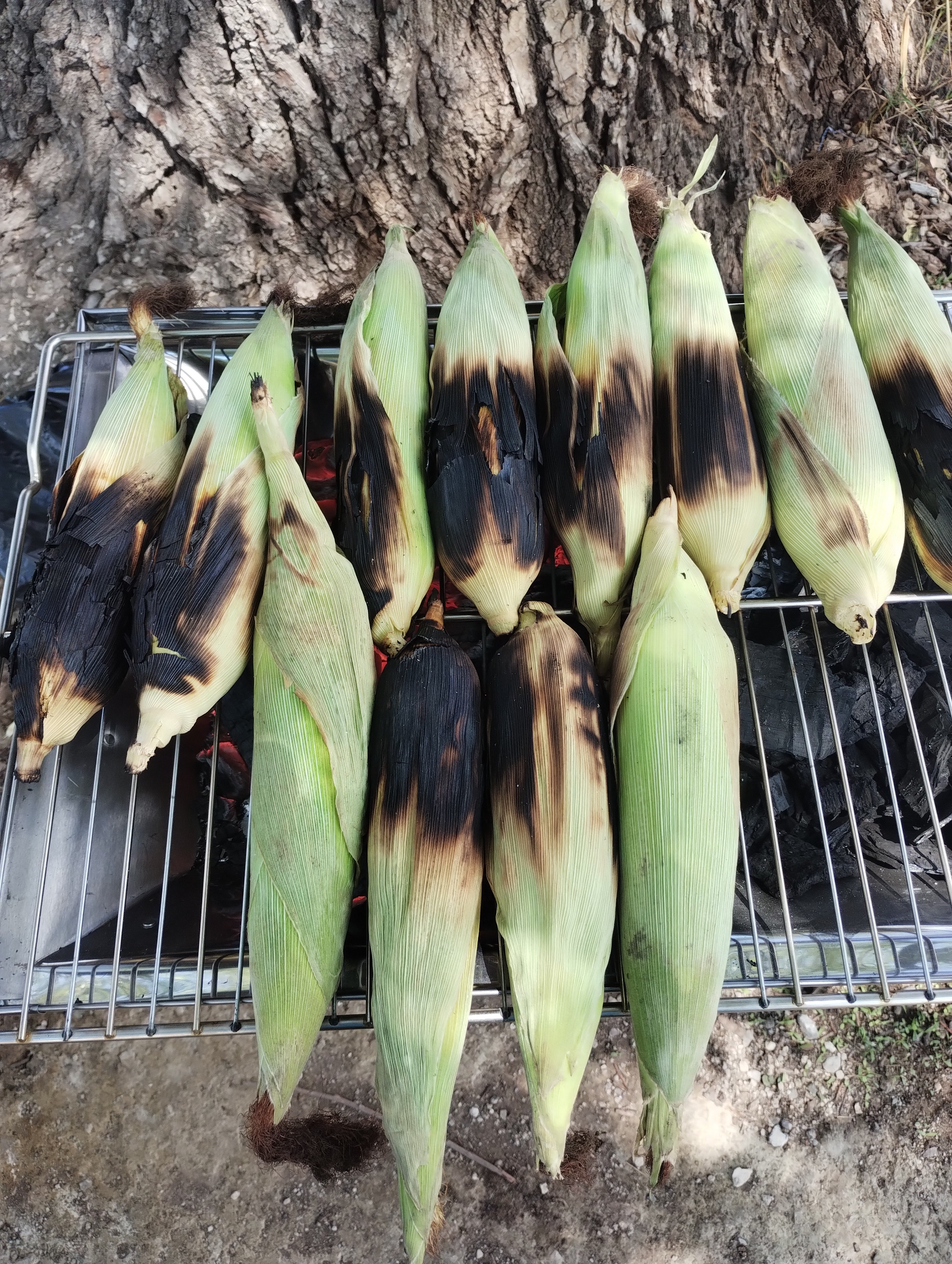 Mariscos el compadre image 7