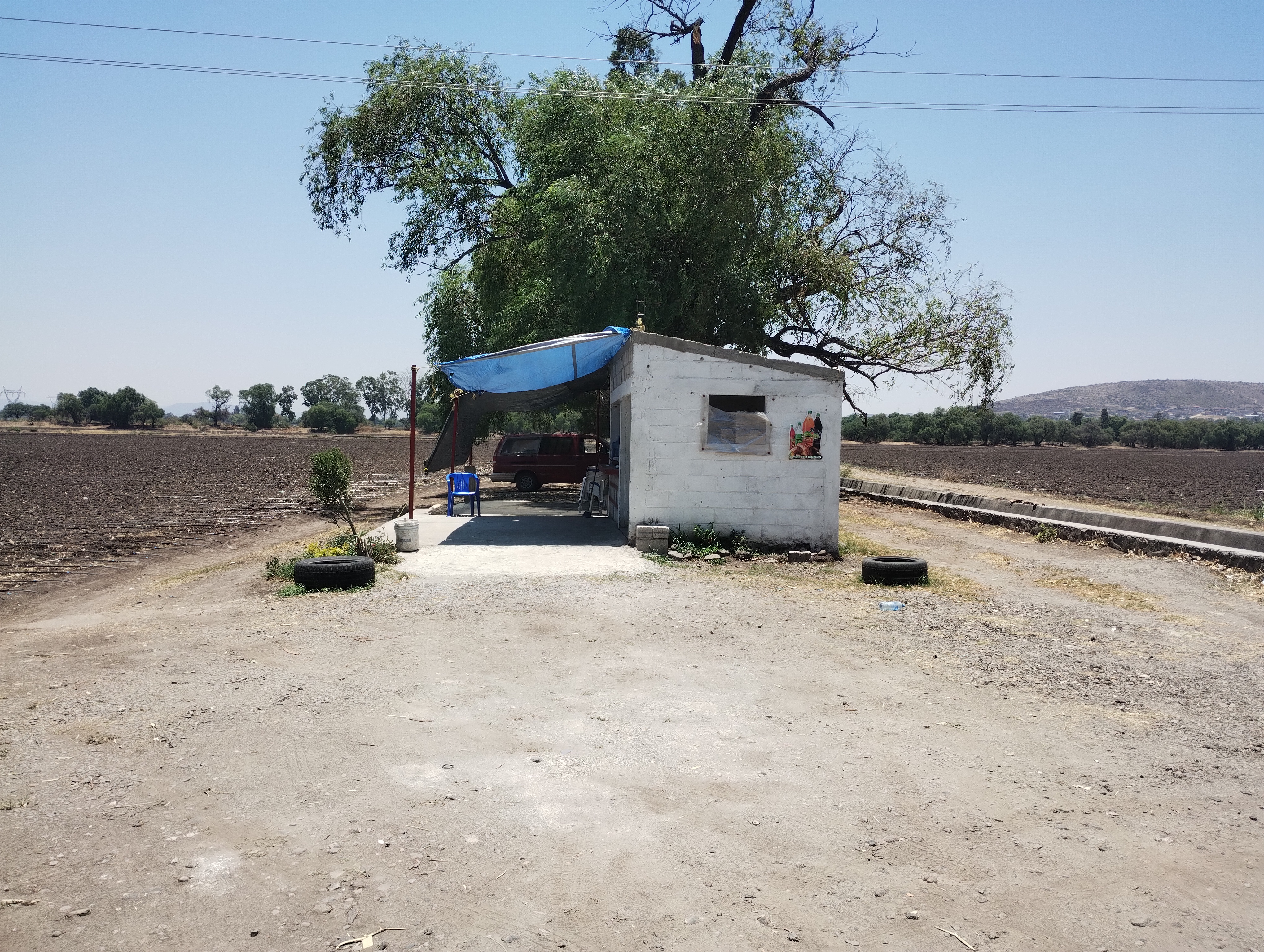 Mariscos el compadre image 8