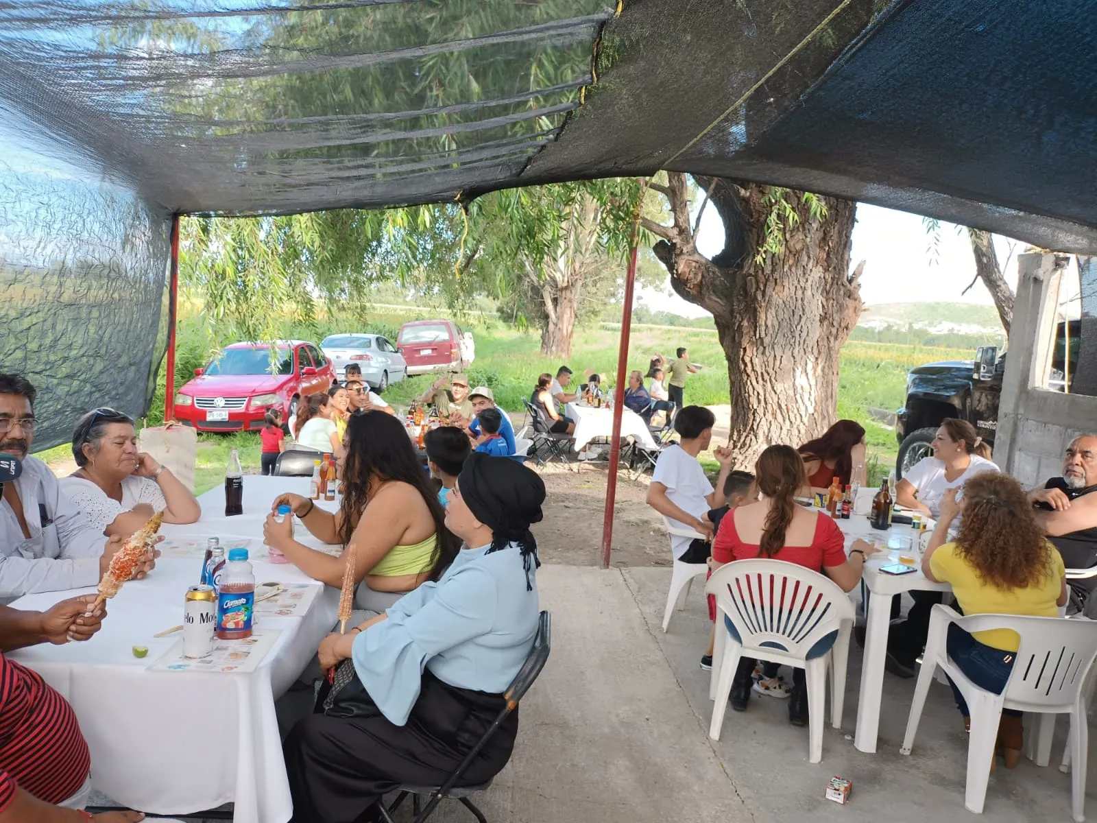 Mariscos el compadre image 9