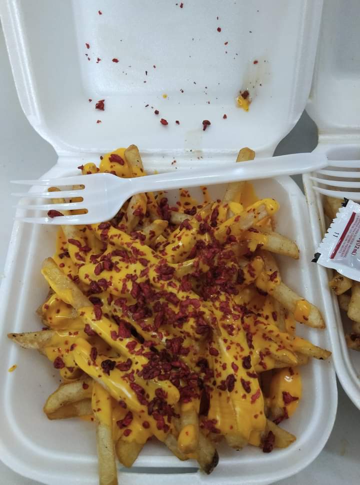 MiniSiberia Villas image 3