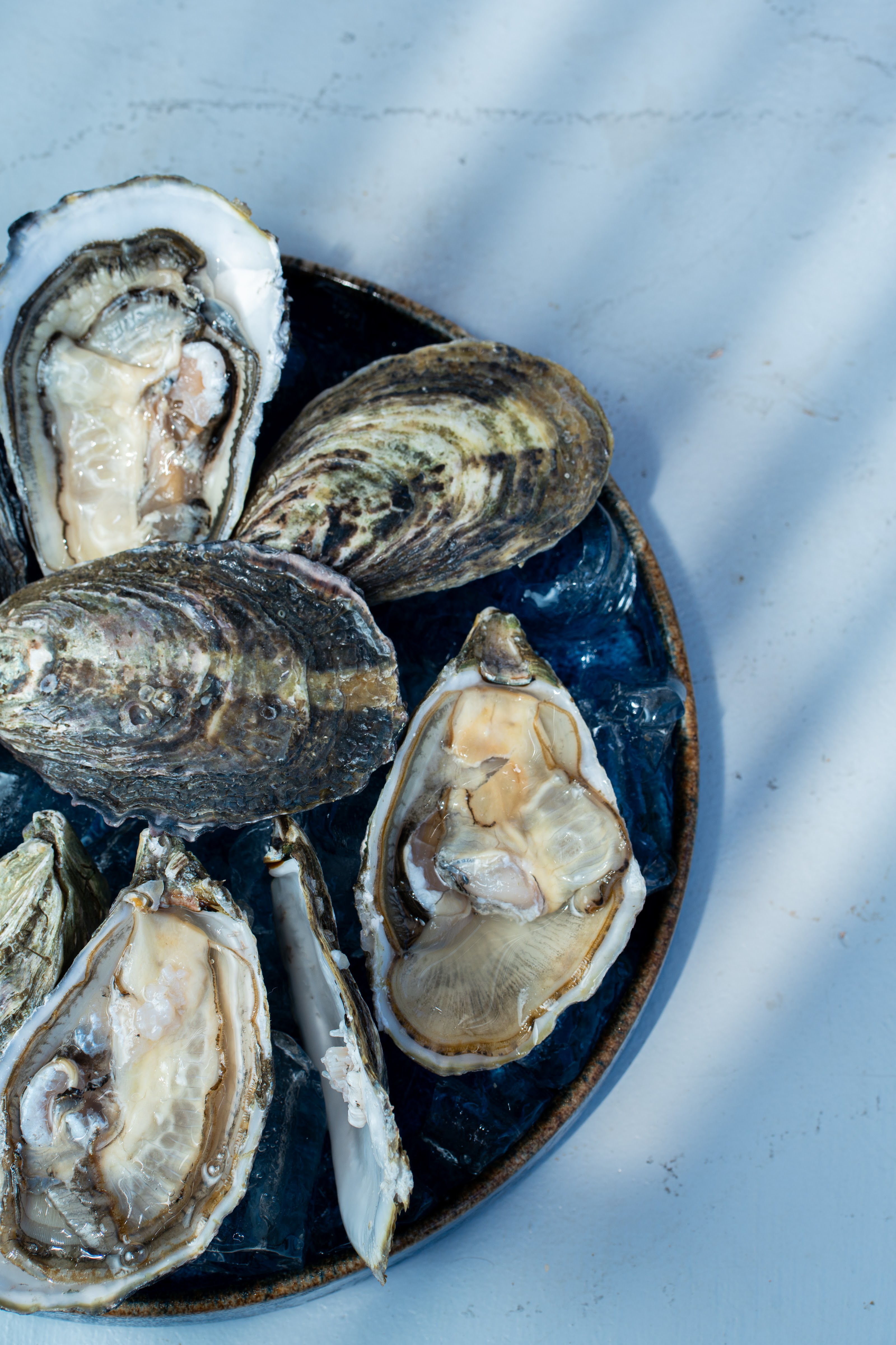 Los Morros Puerto Aventuras image 9