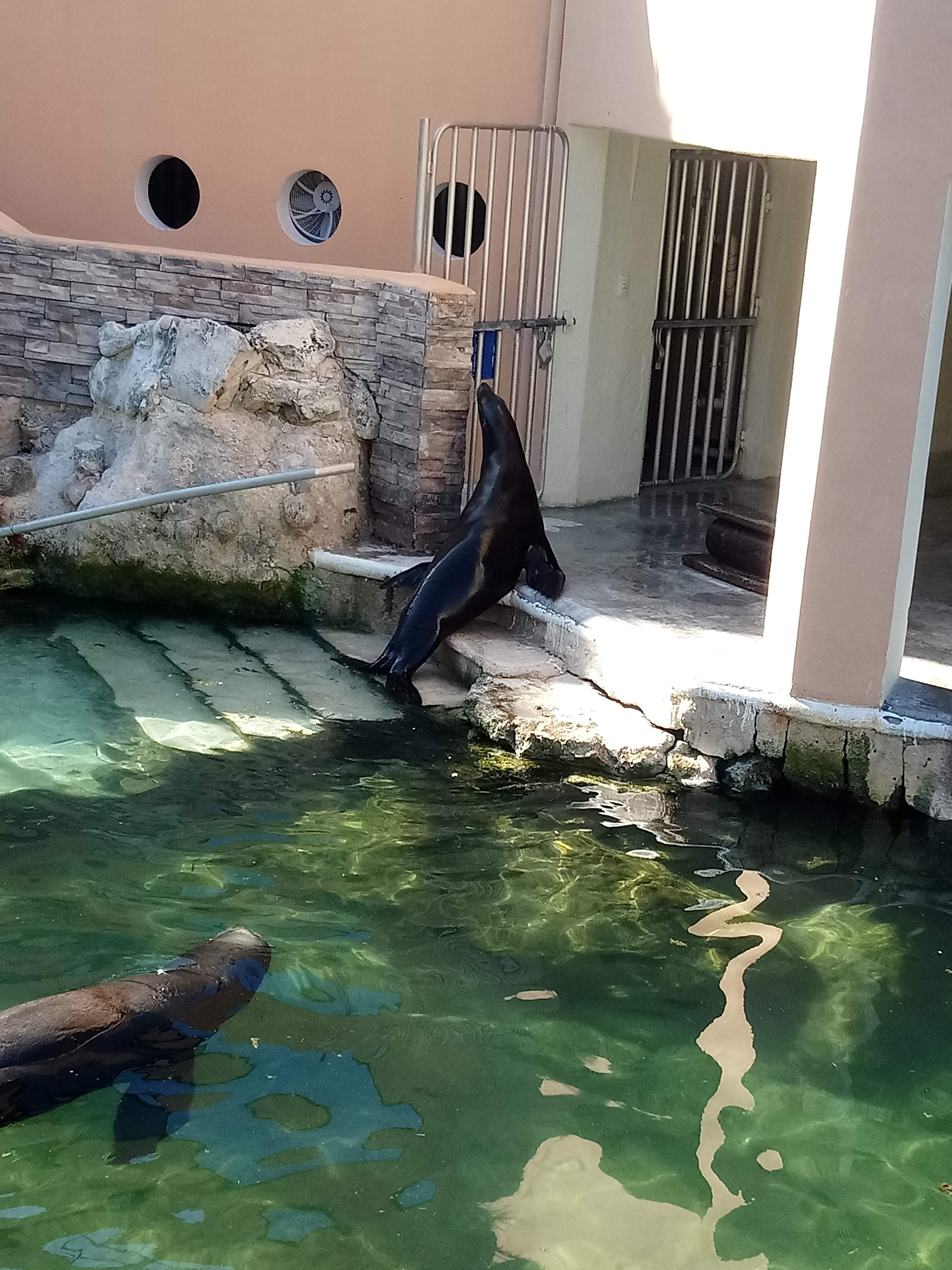 Palapa Manati image 4