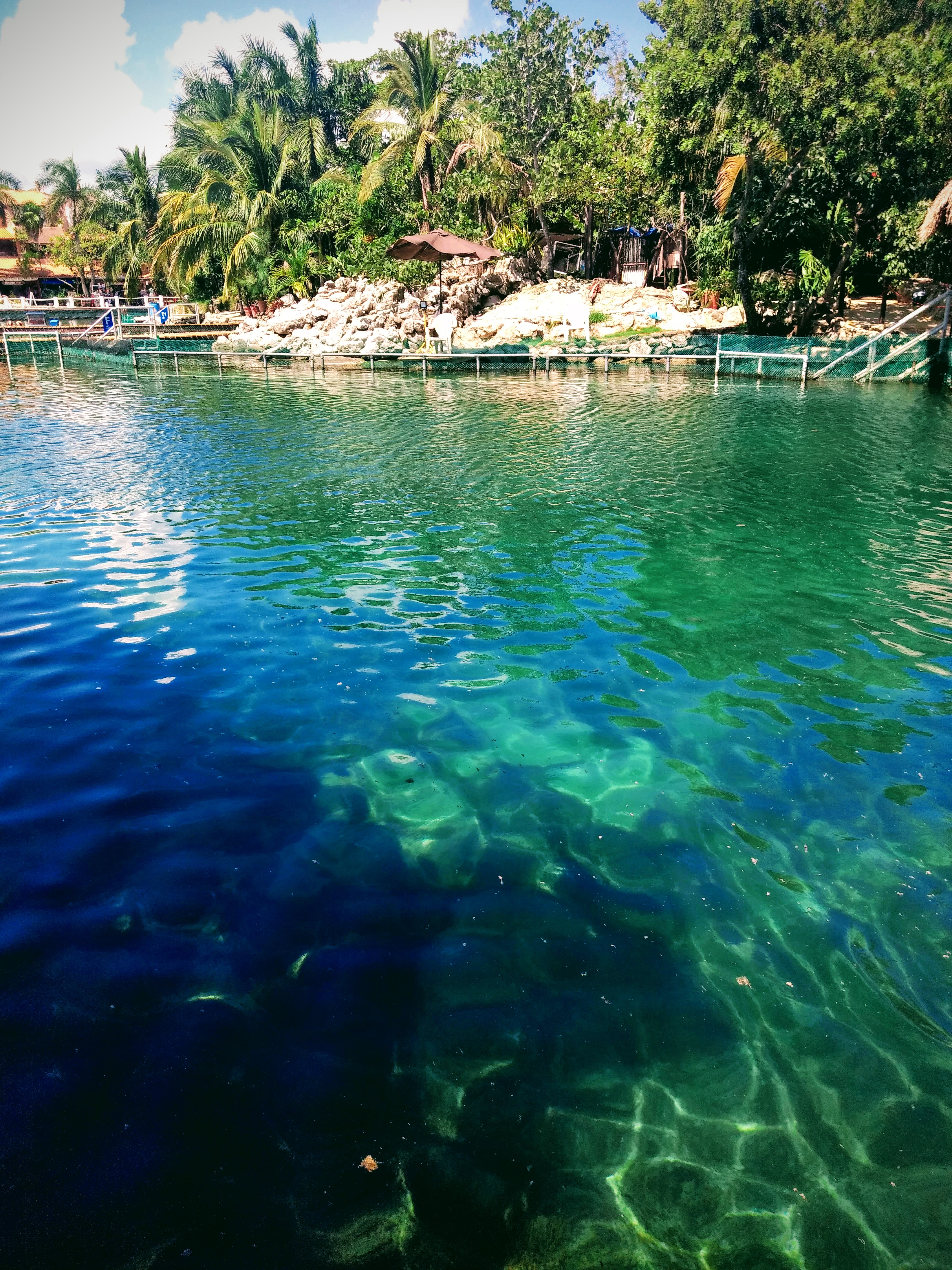 Palapa Manati image 5