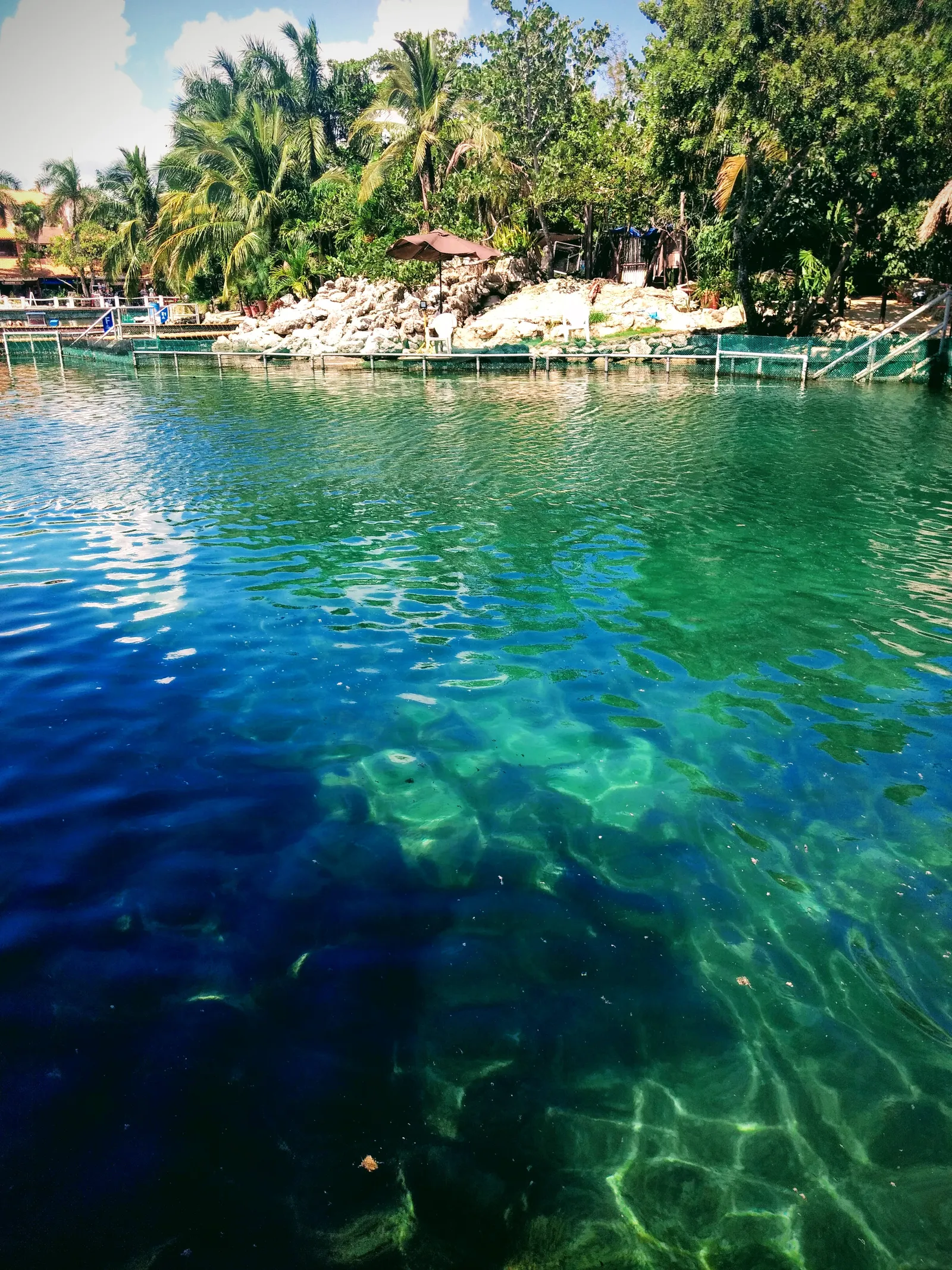 Palapa Manati image 5