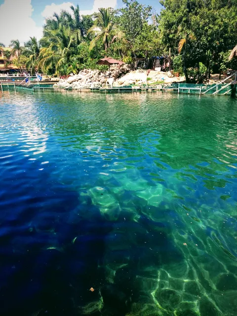 Palapa Manati image 5