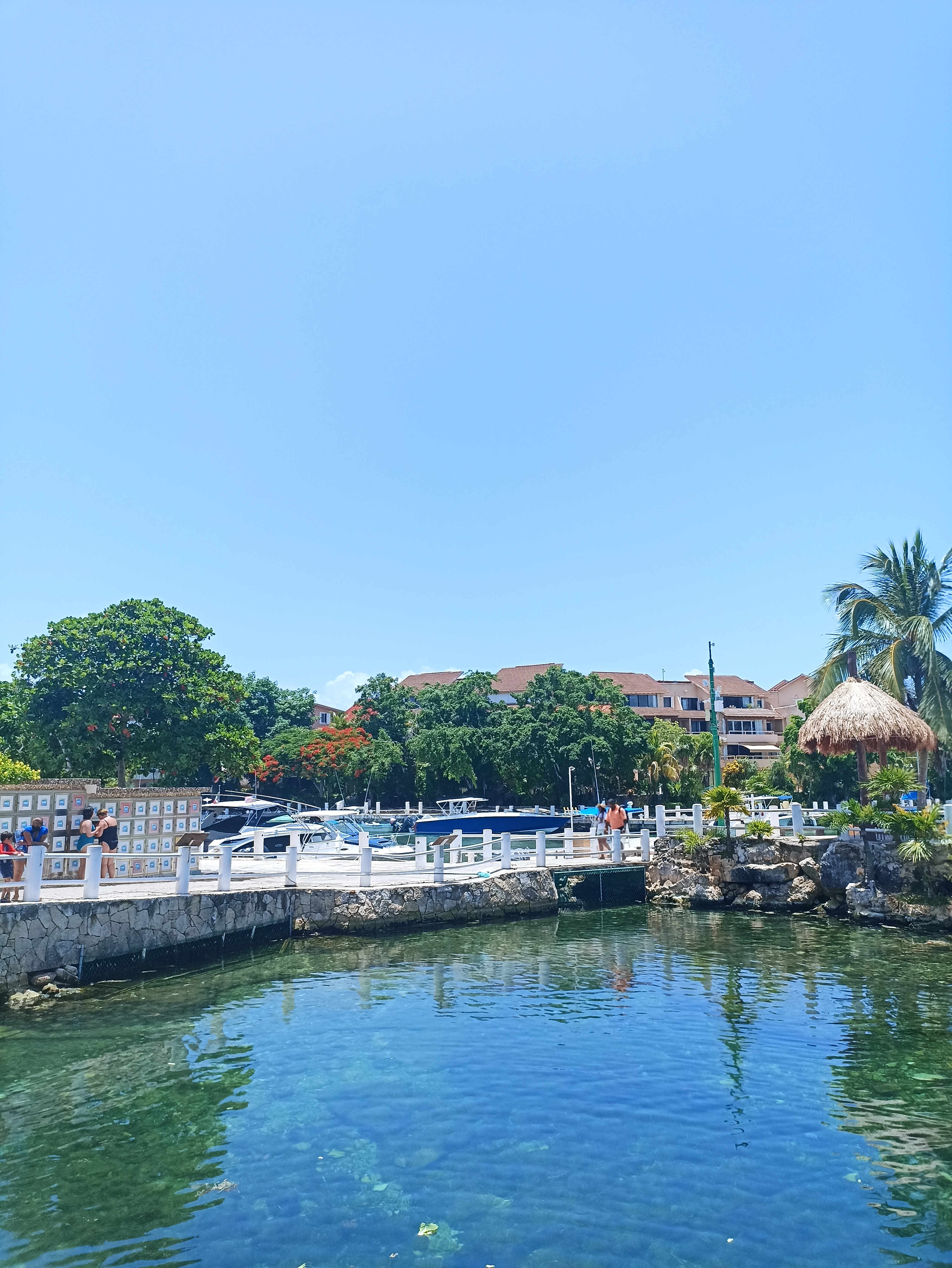 Palapa Manati image 6