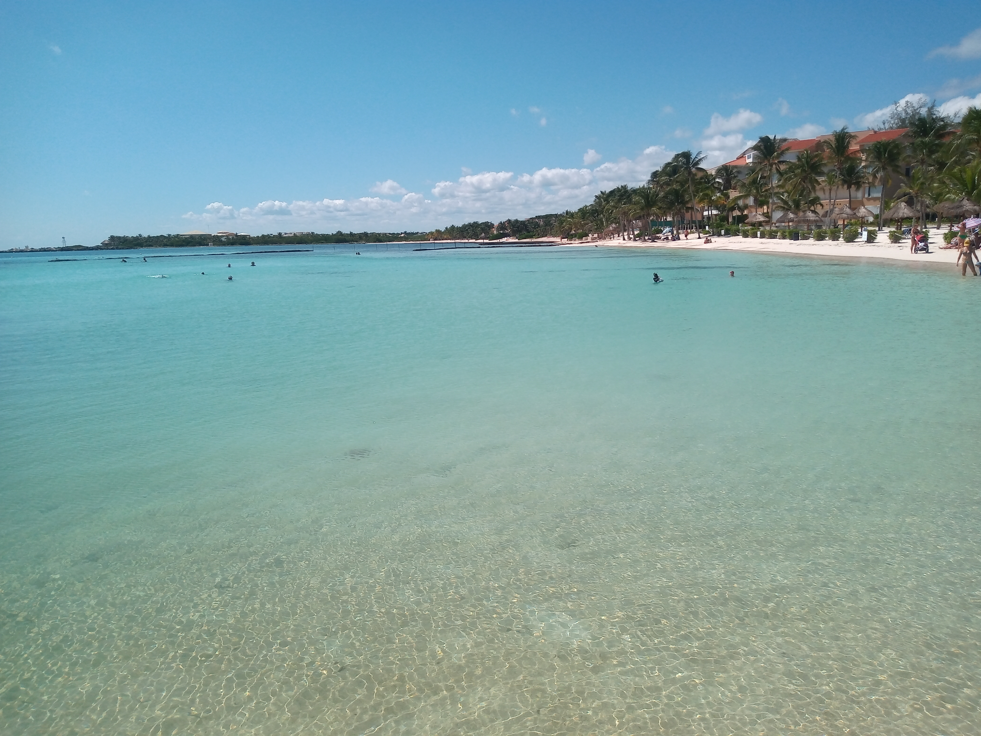 Palapa Manati image 8