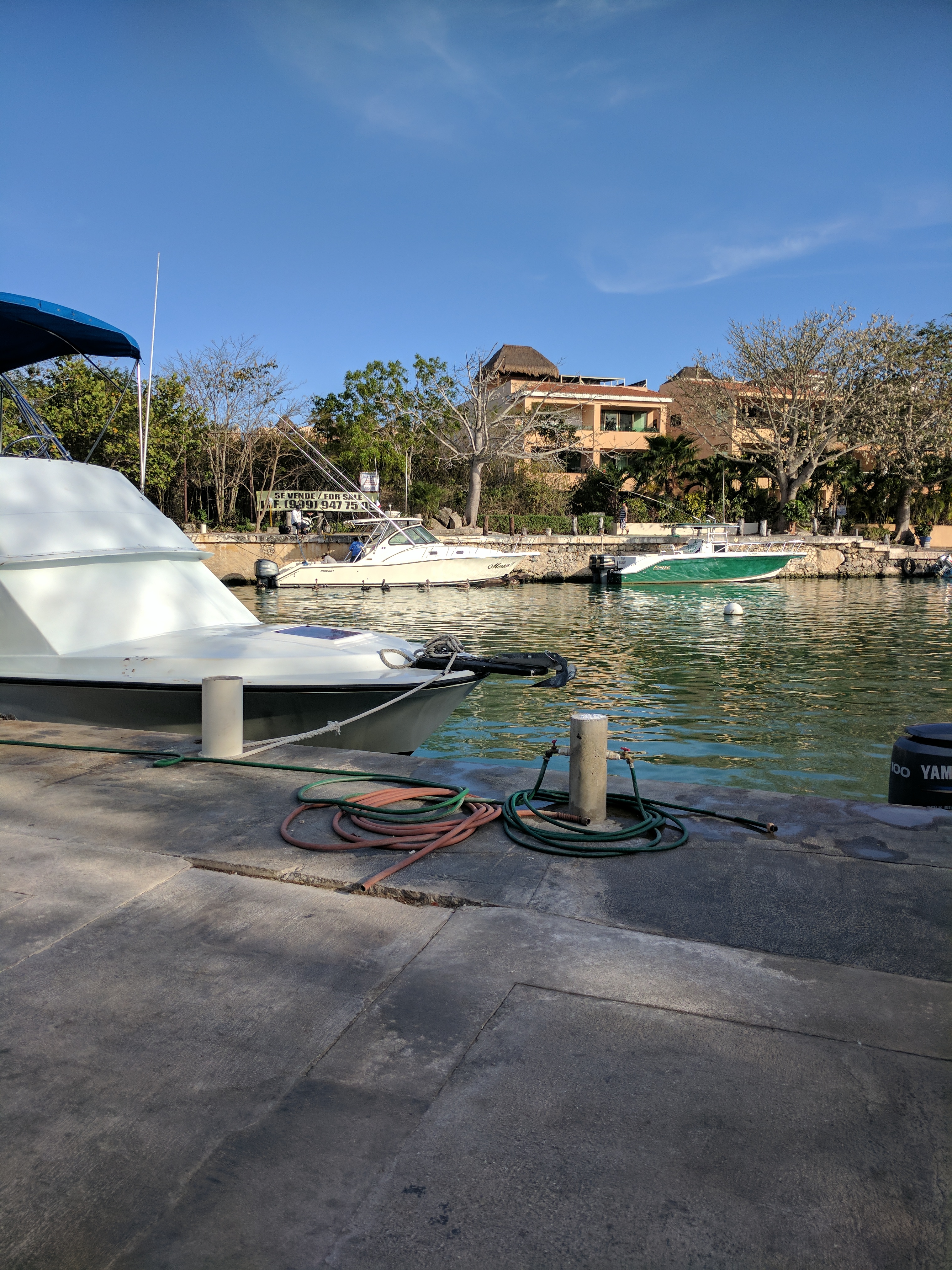 Pelican Point image 8