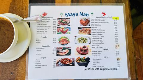 Maya Nah image 3