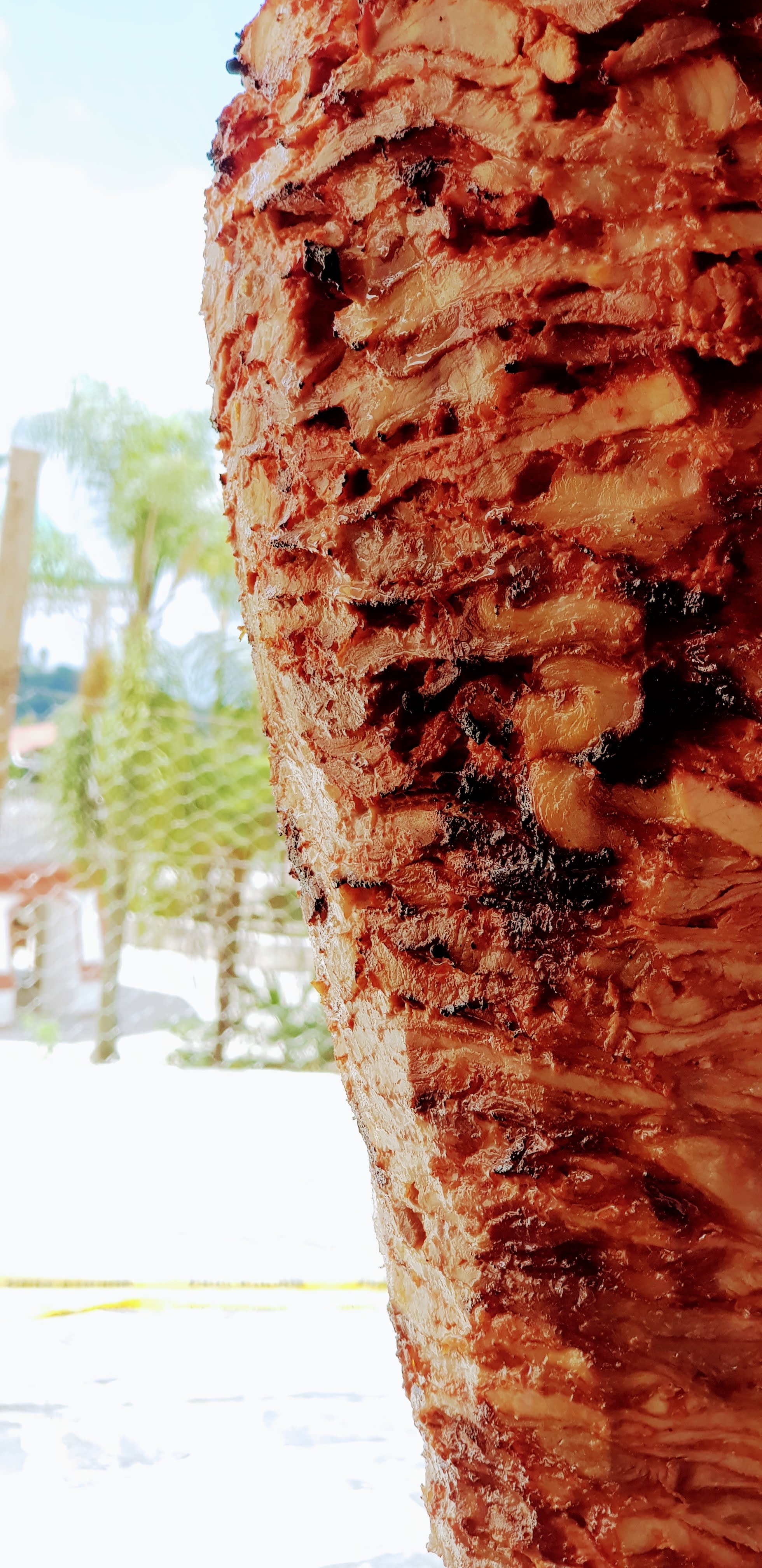 Tikuas Tacos image 7