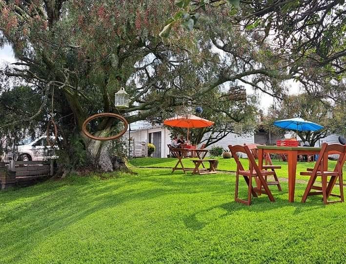 "Jardin Ciruelos" image 3