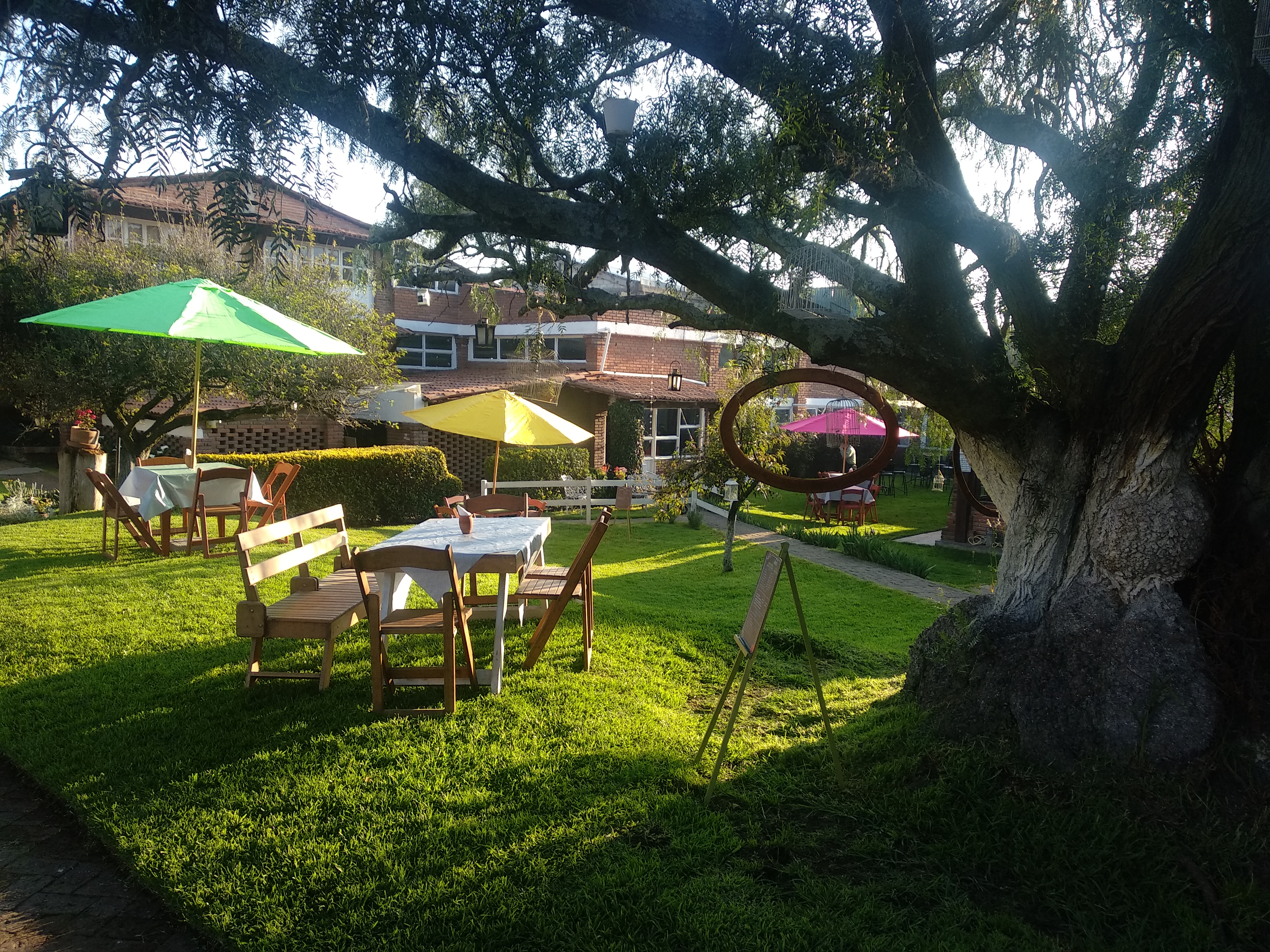 "Jardin Ciruelos" image 4