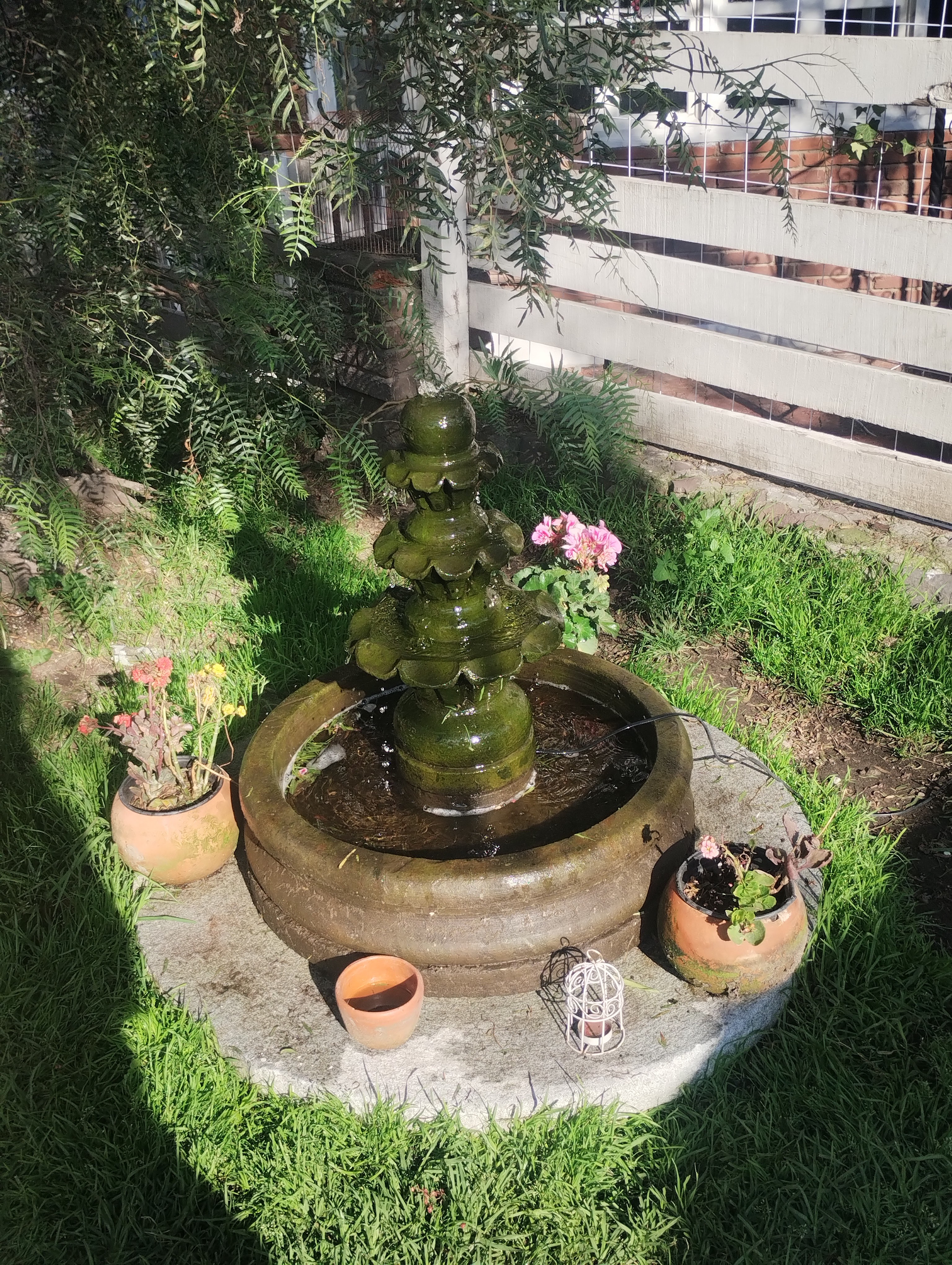 "Jardin Ciruelos" image 8