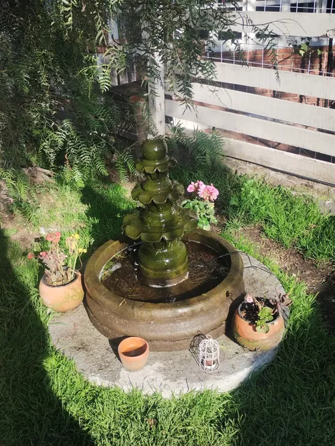 "Jardin Ciruelos" image 8