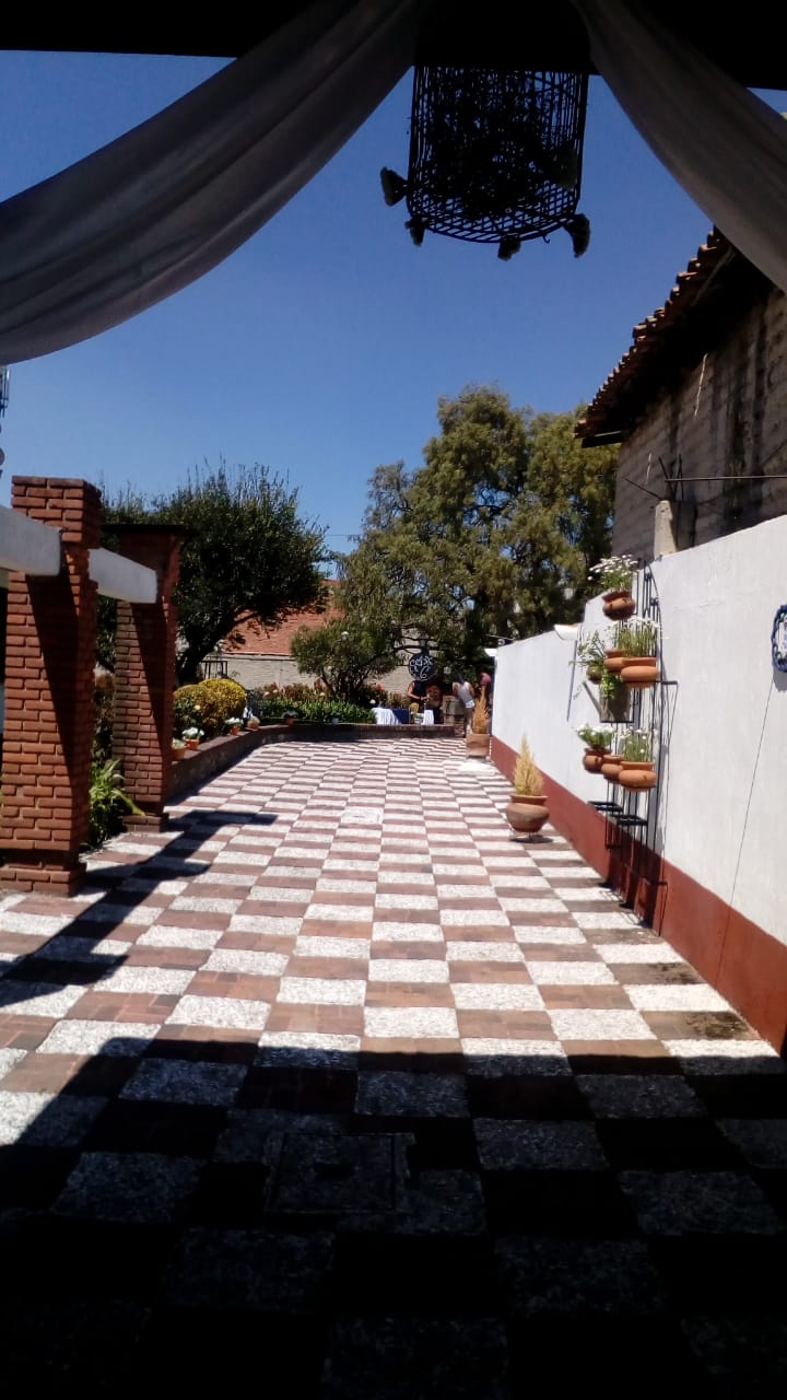 "Jardin Ciruelos" image 9