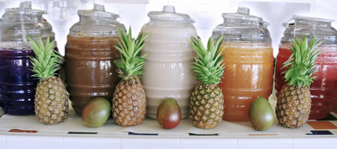 POLLITOS ADAM VILLA image 3