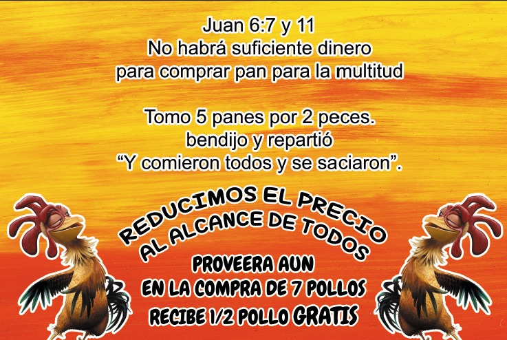 POLLITOS ADAM VILLA image 10