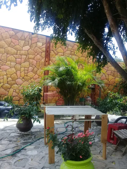 Pizzería La Reyna image 6