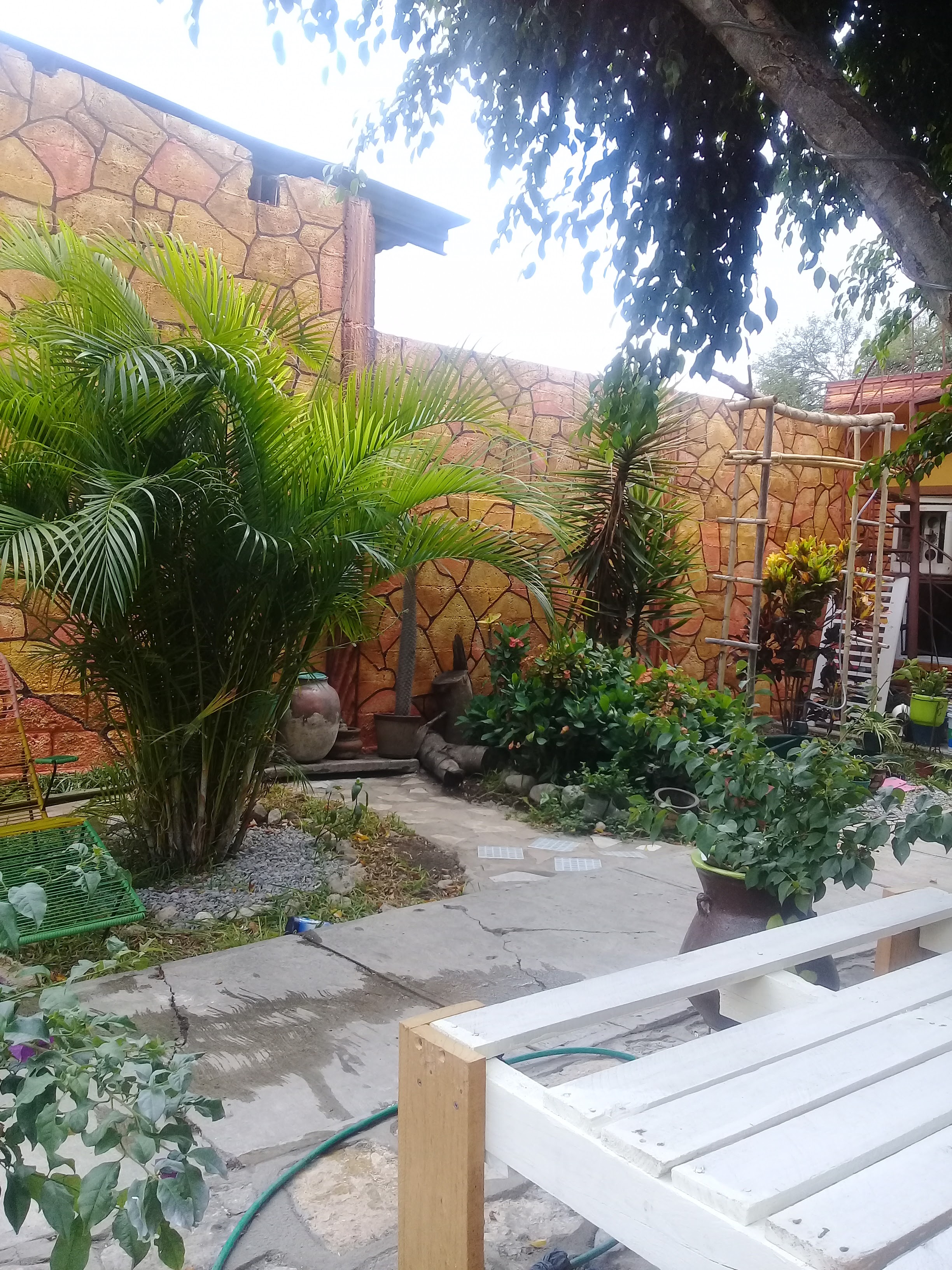 Pizzería La Reyna image 10