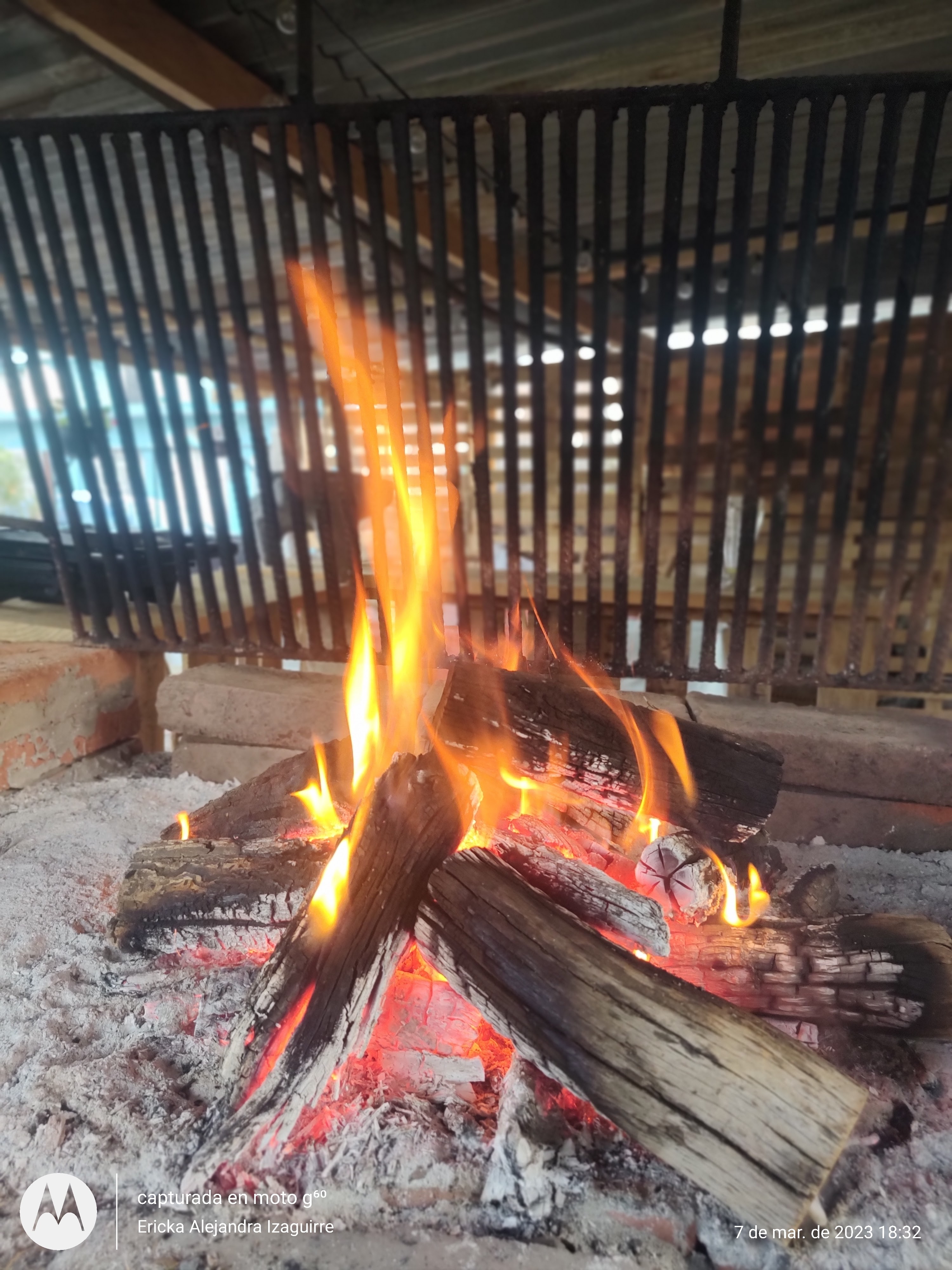 La Jacaranda image 5