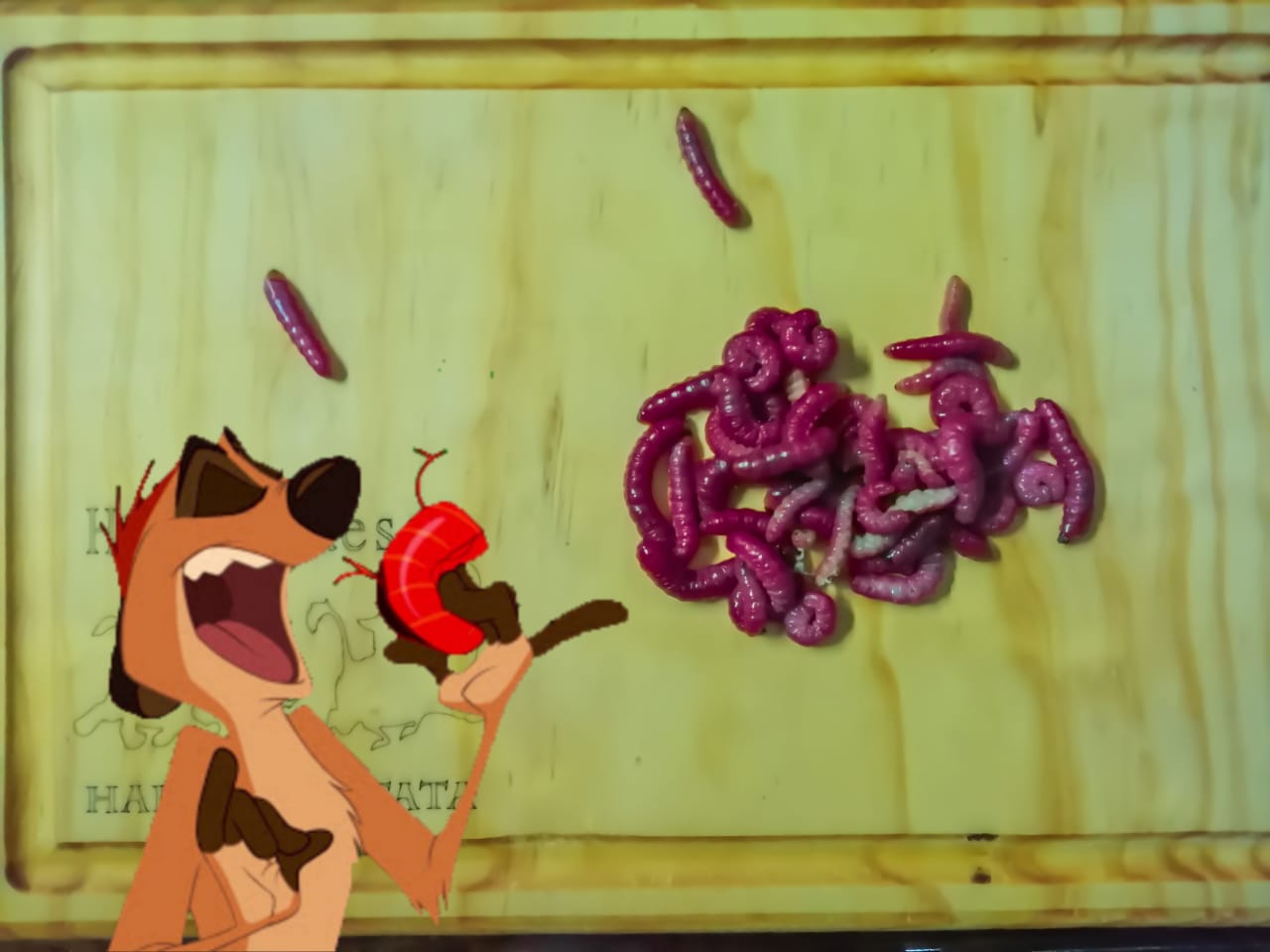 HAMBURGUESAS JAQUNA MATATA image 6