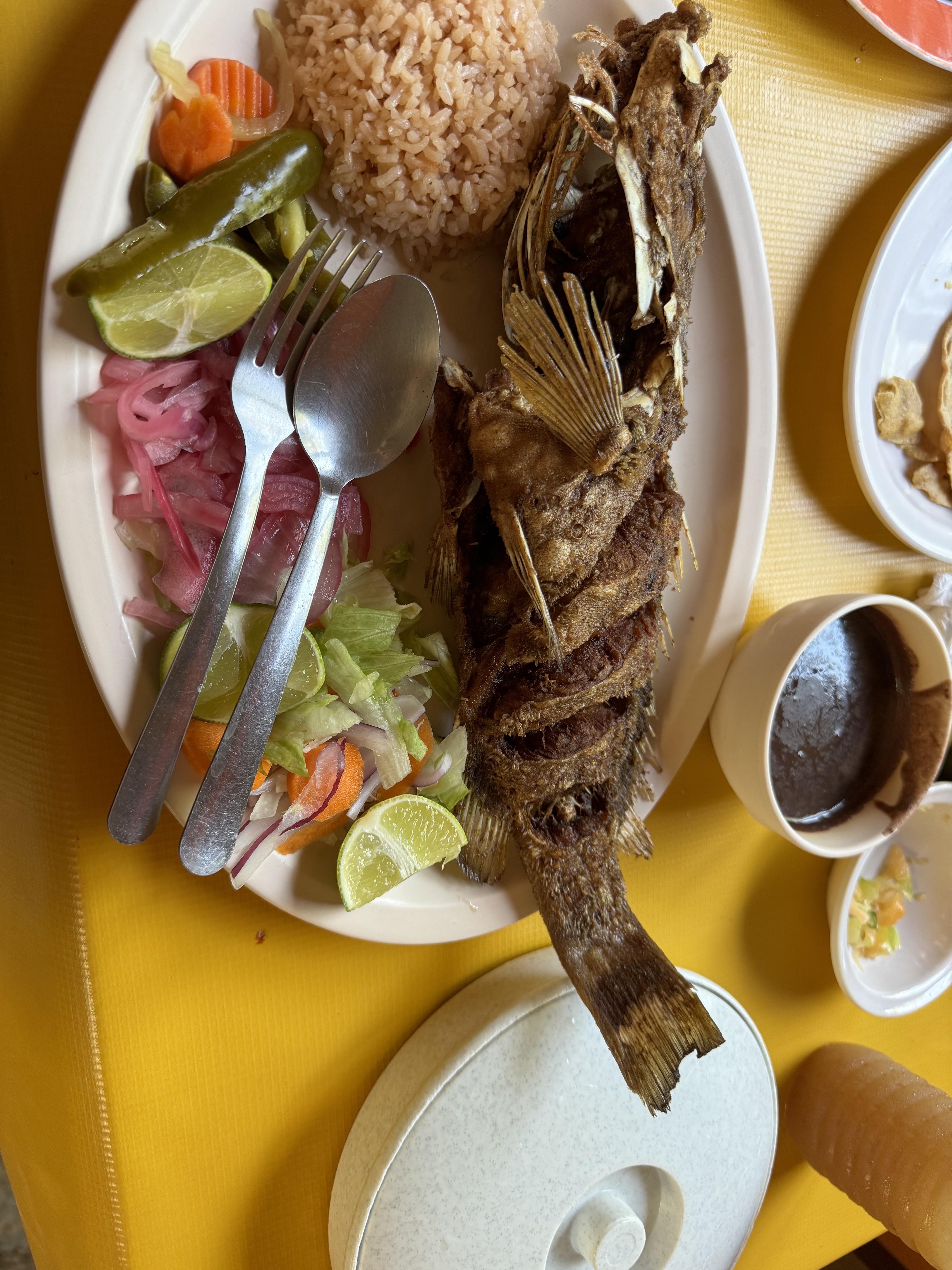 Restaurante Tiburcio Tiburón image 4