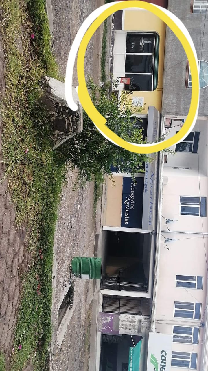 Cocina Los Tulipanes image 6