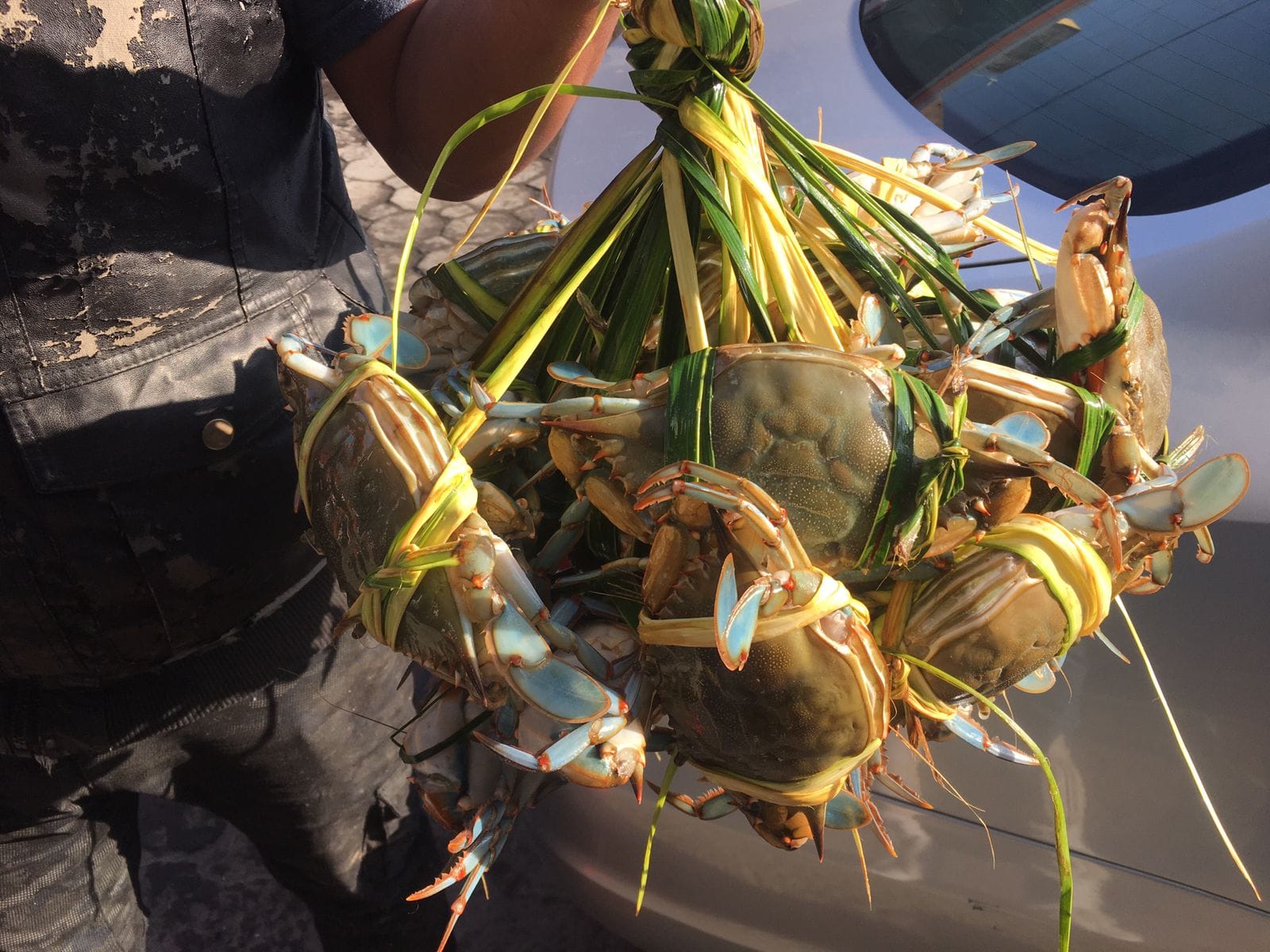 Don Camarón Olinalá image 4