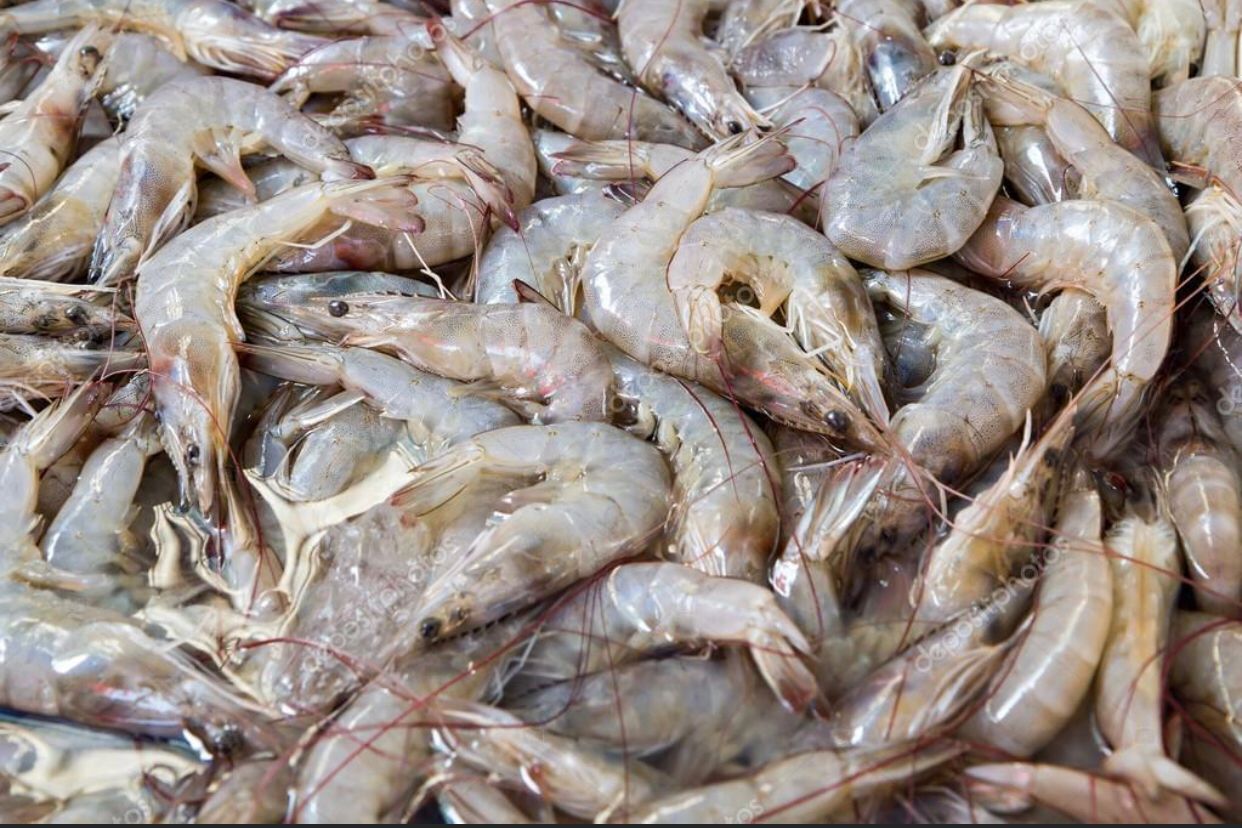 Don Camarón Olinalá image 5