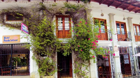 Restaurante Hotel Posada Cuetzalan image 3
