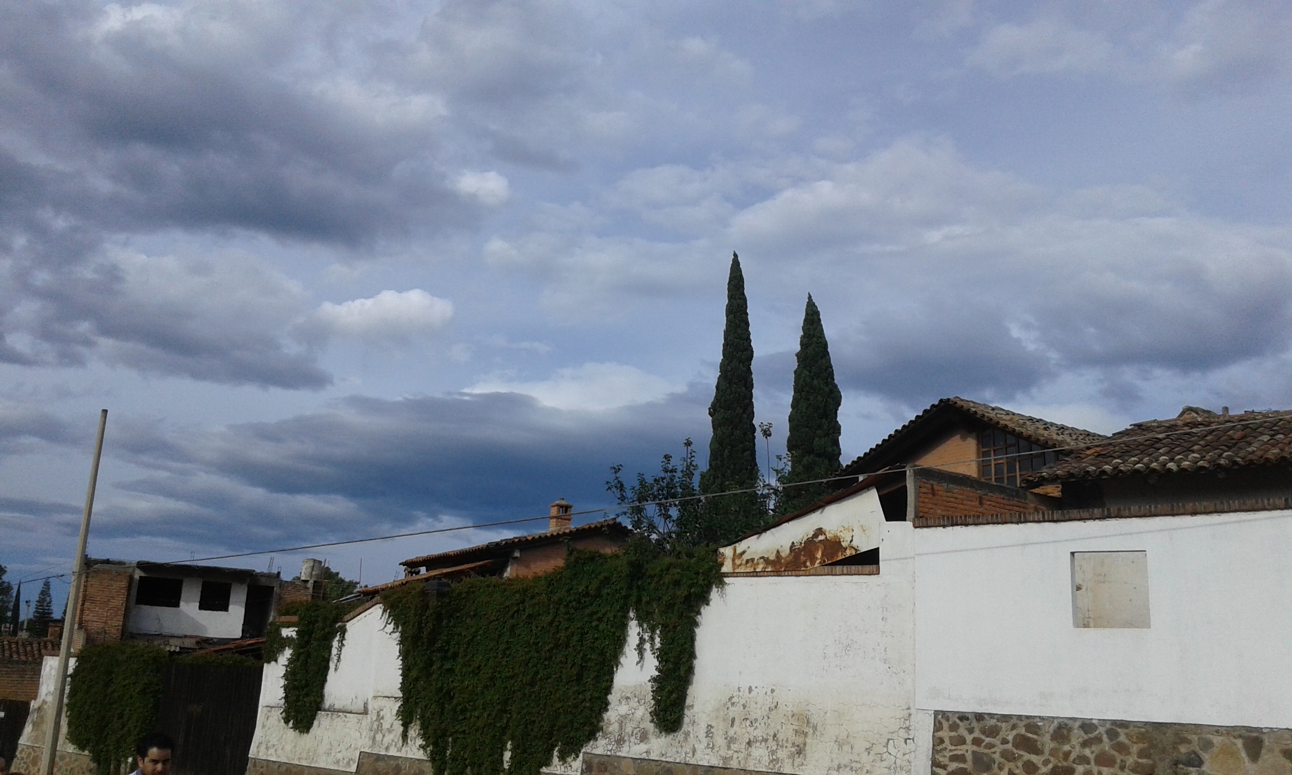 Taqueria el Taco-lote image 6