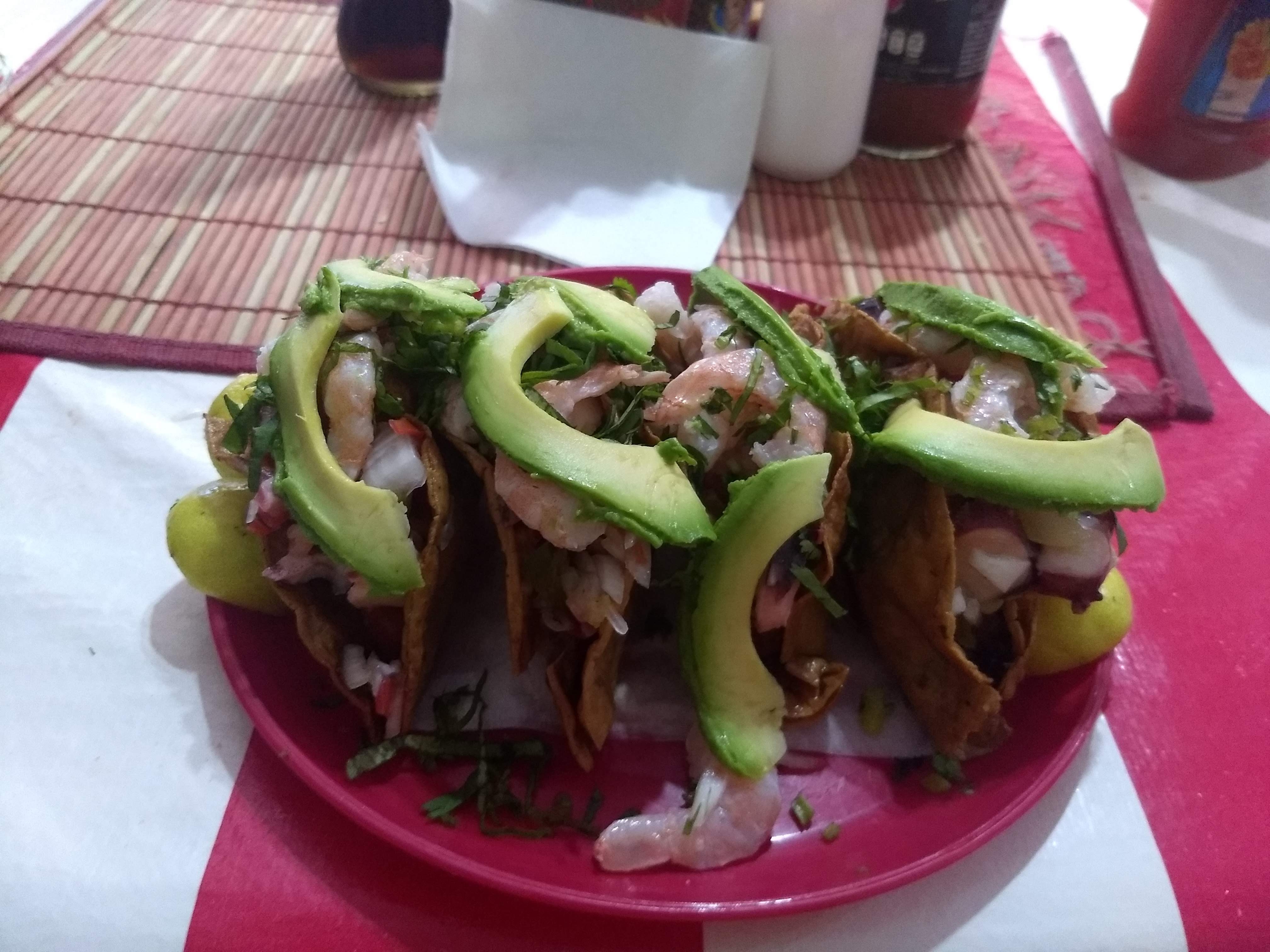 Él crustáceo cascarudo image 7