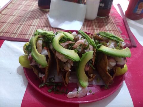 Él crustáceo cascarudo image 7
