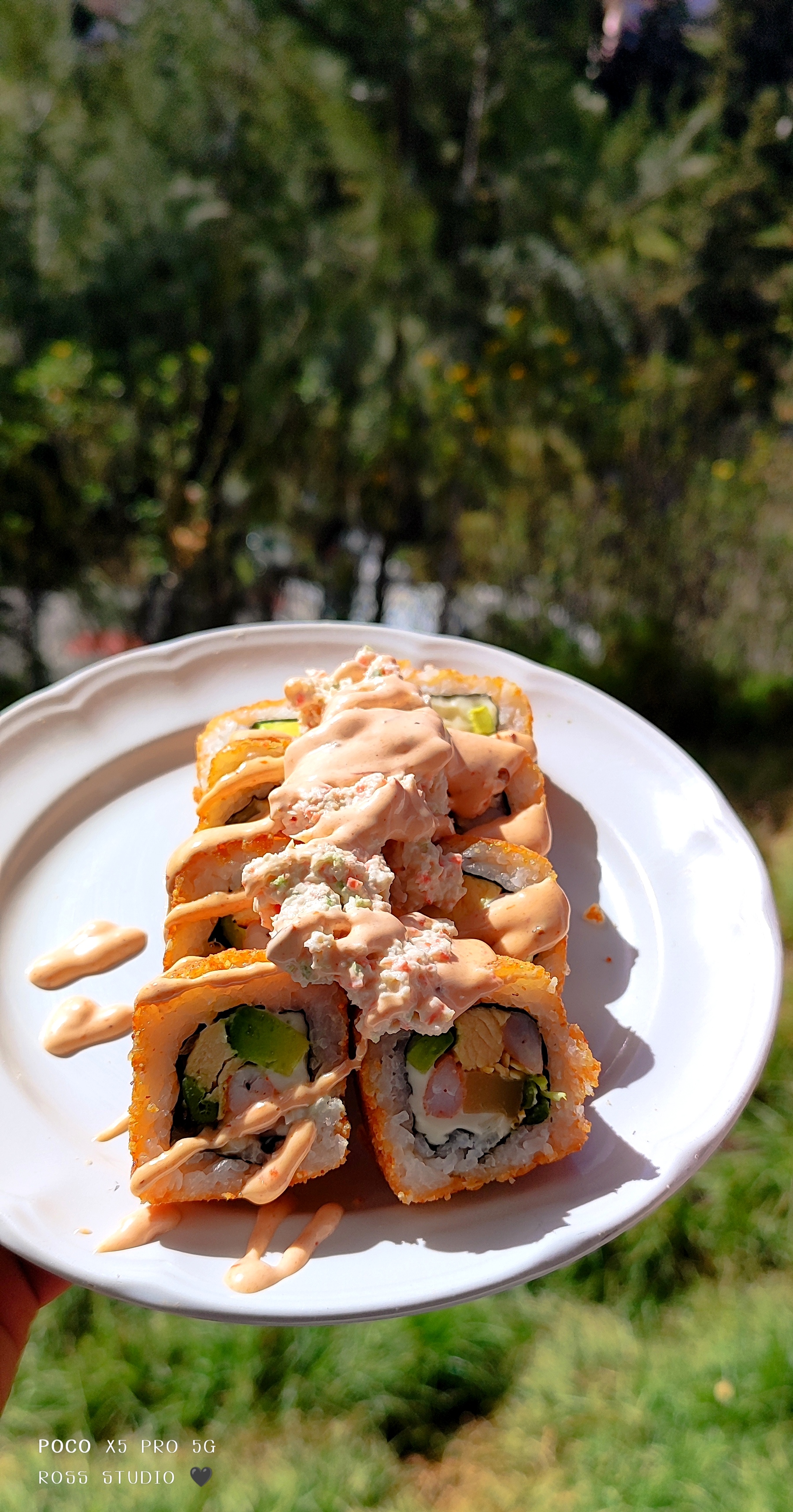 Rick &Ross Roll image 4