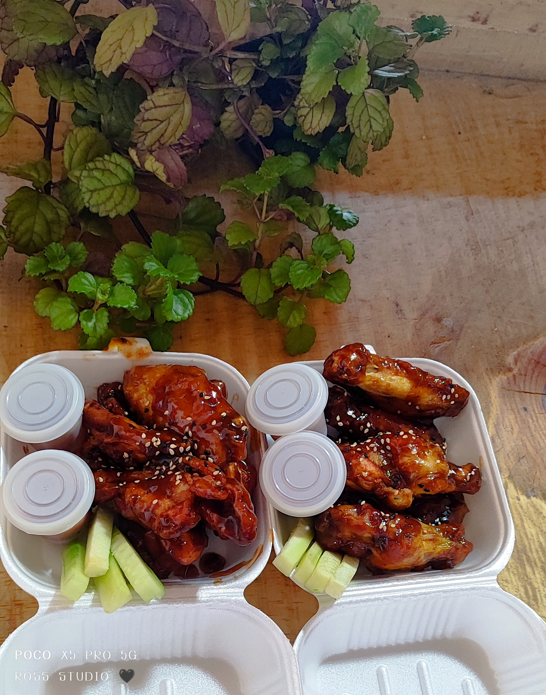 Rick &Ross Roll image 5