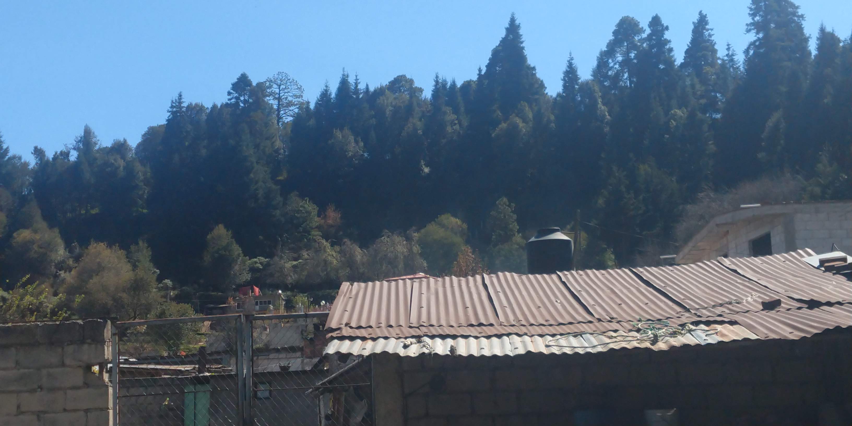 Barbacoa Tia Anita image 3