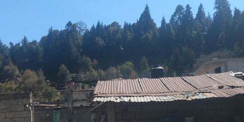 Barbacoa Tia Anita image 3