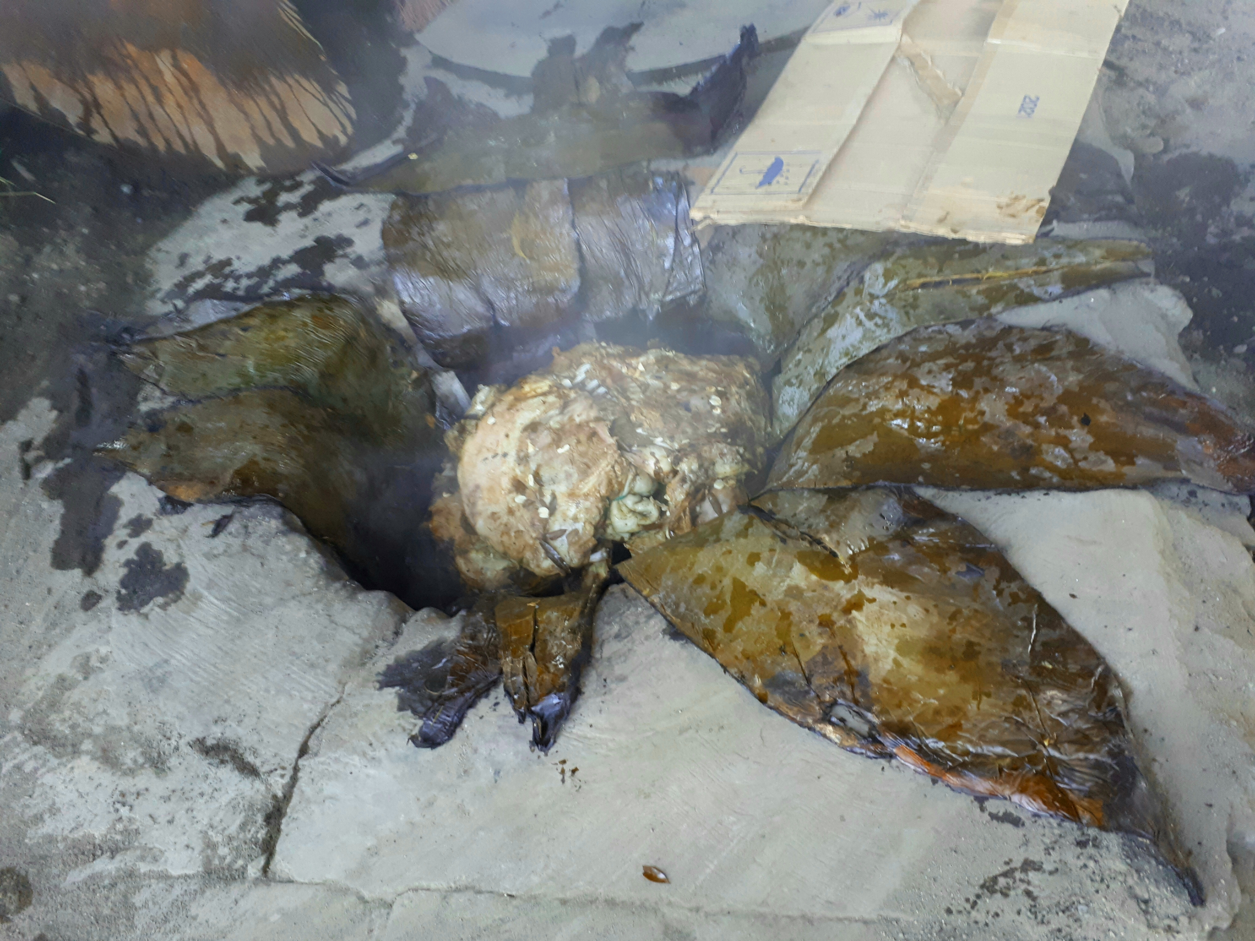 Barbacoa Tia Anita image 6