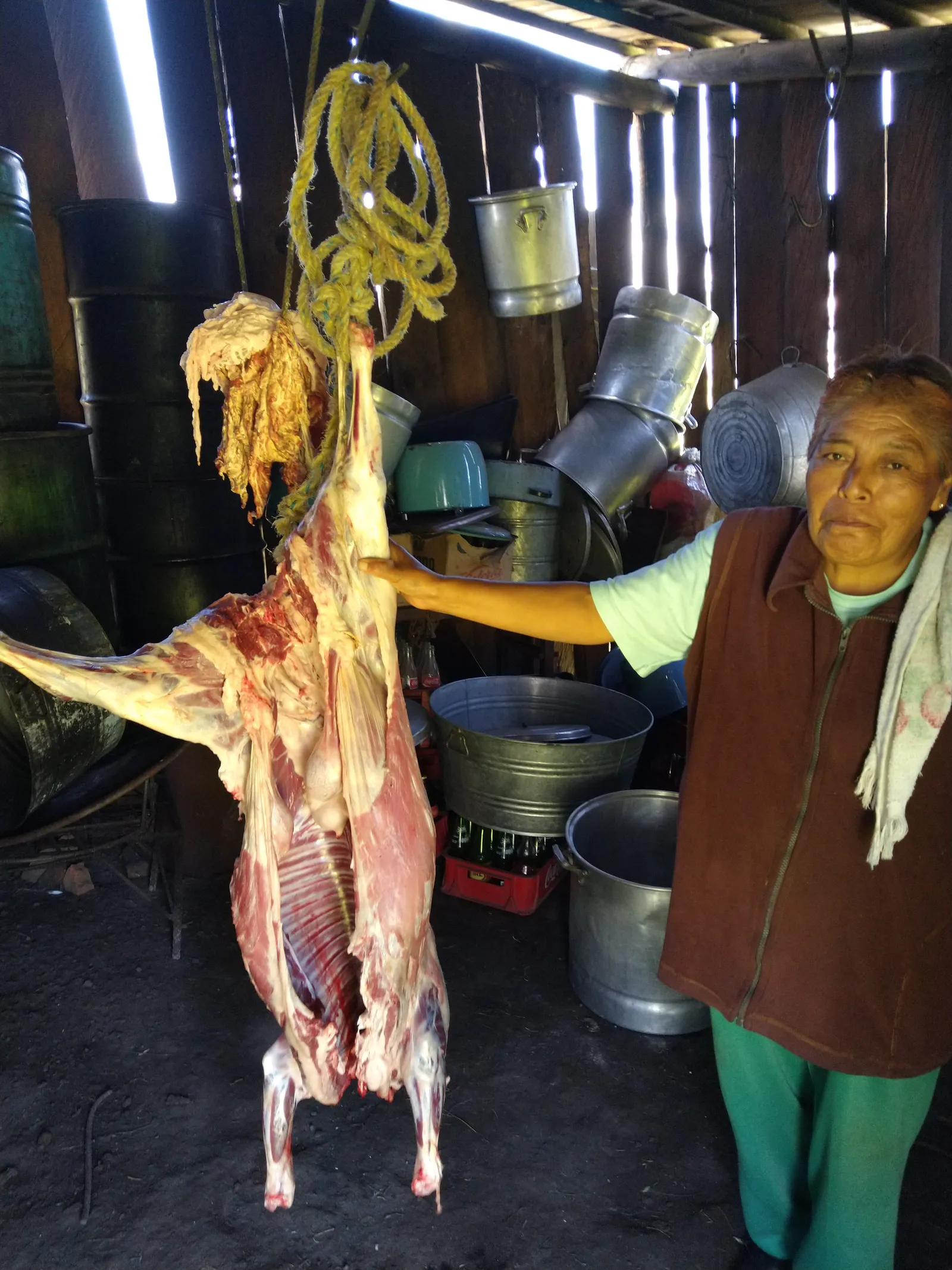 Barbacoa Tia Anita image 10