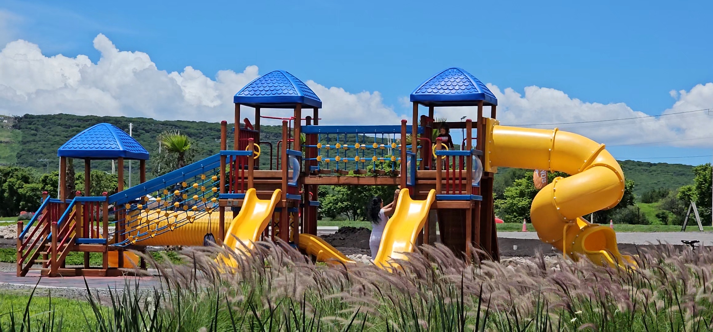 TAQUIÑOS MARQUÉS image 10