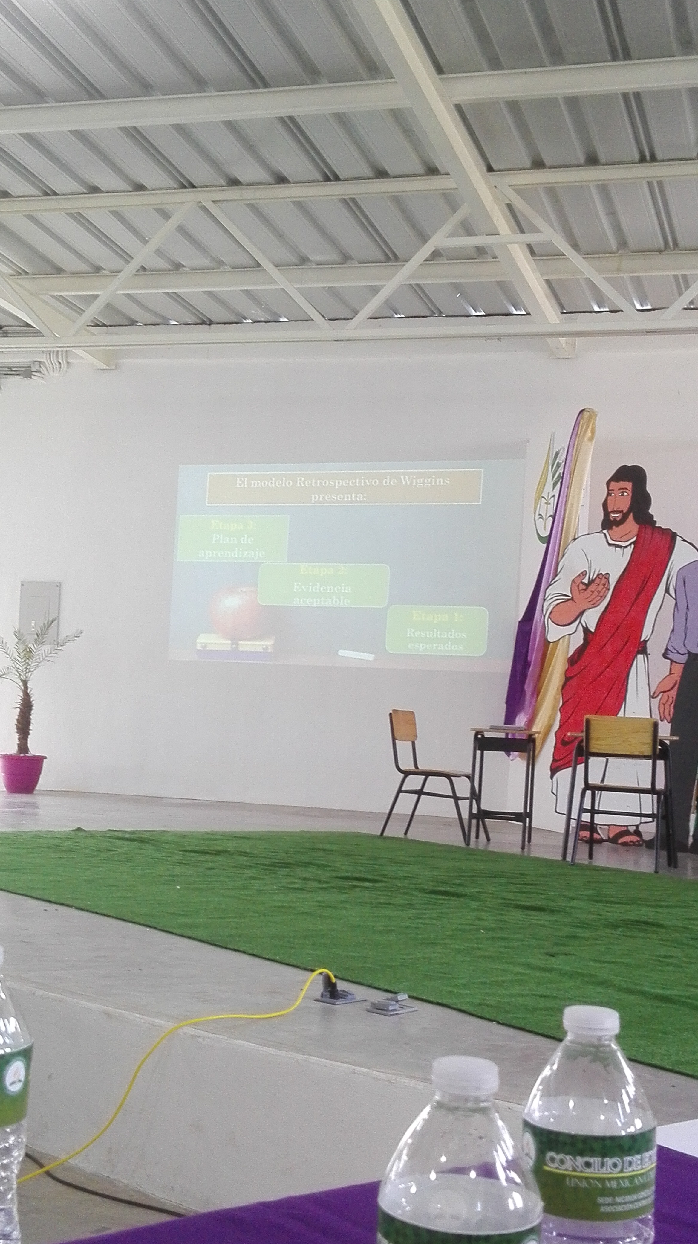 Carnitas Magnus image 2