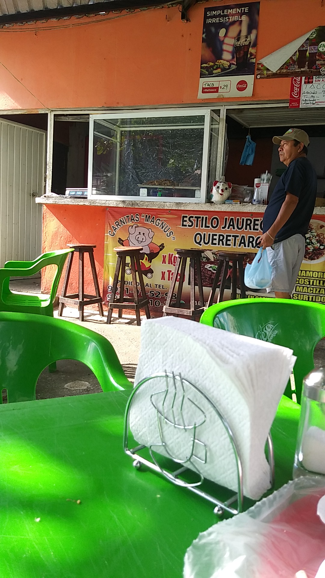 Carnitas Magnus image 3