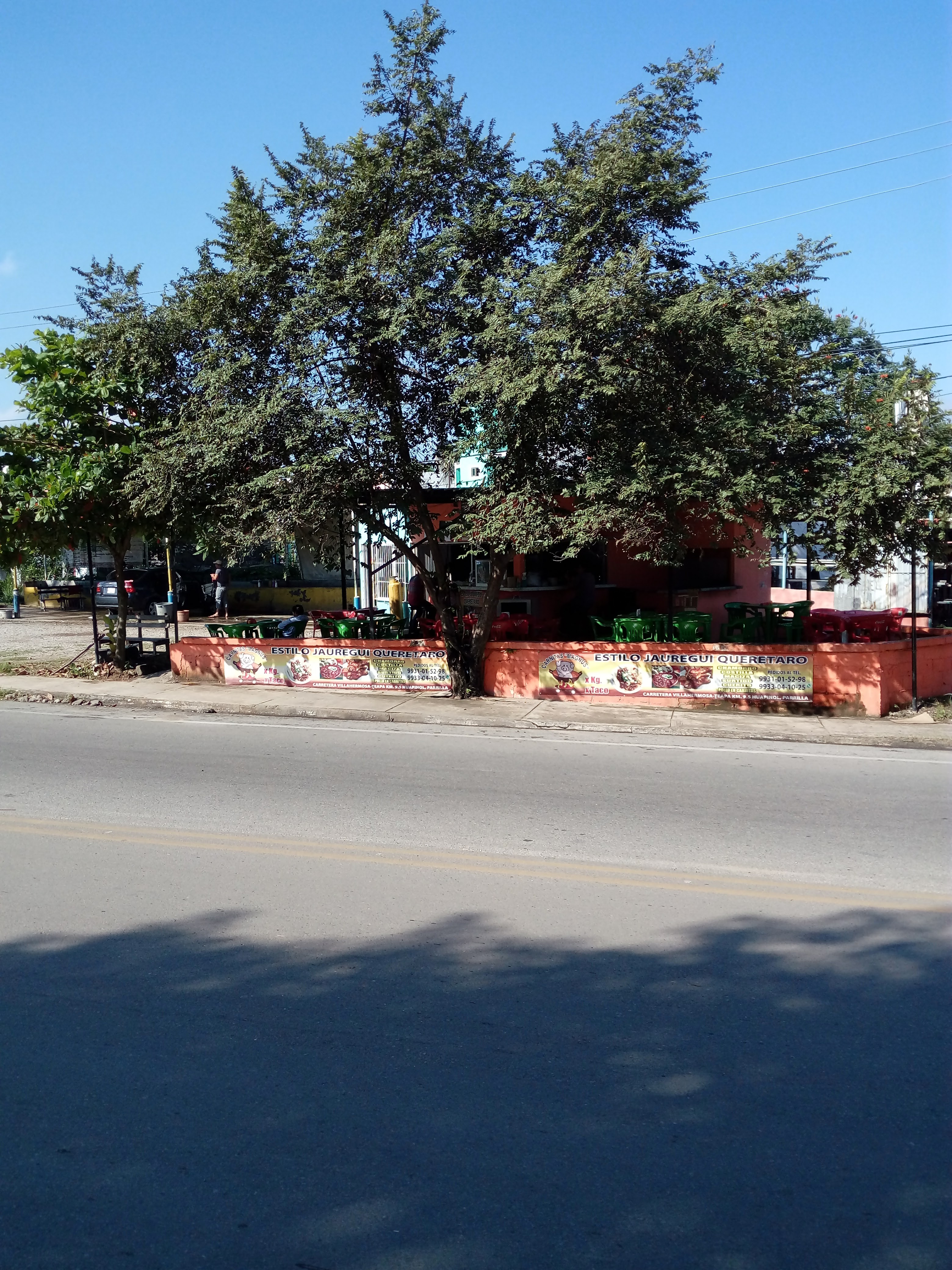 Carnitas Magnus image 4