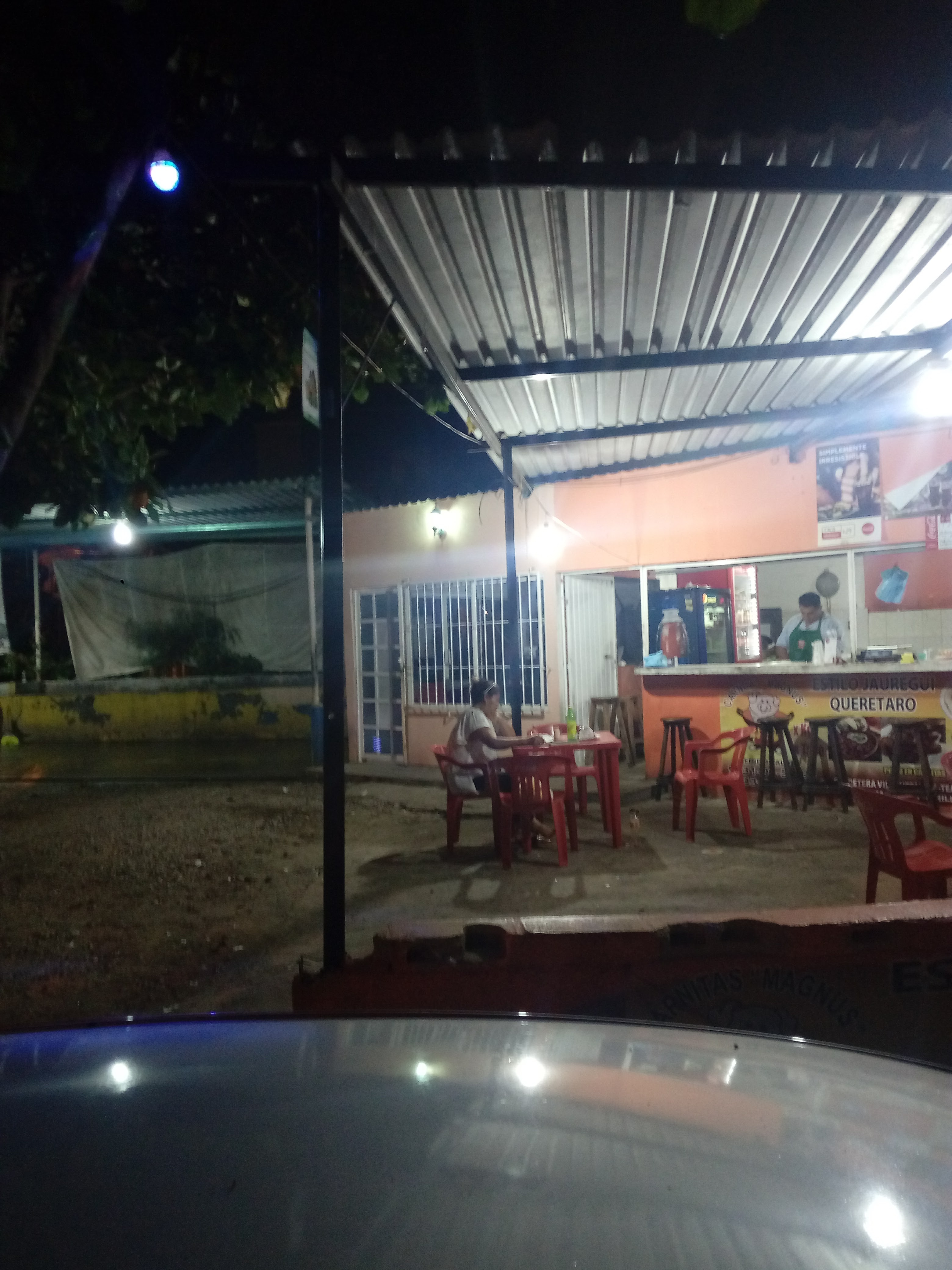 Carnitas Magnus image 5